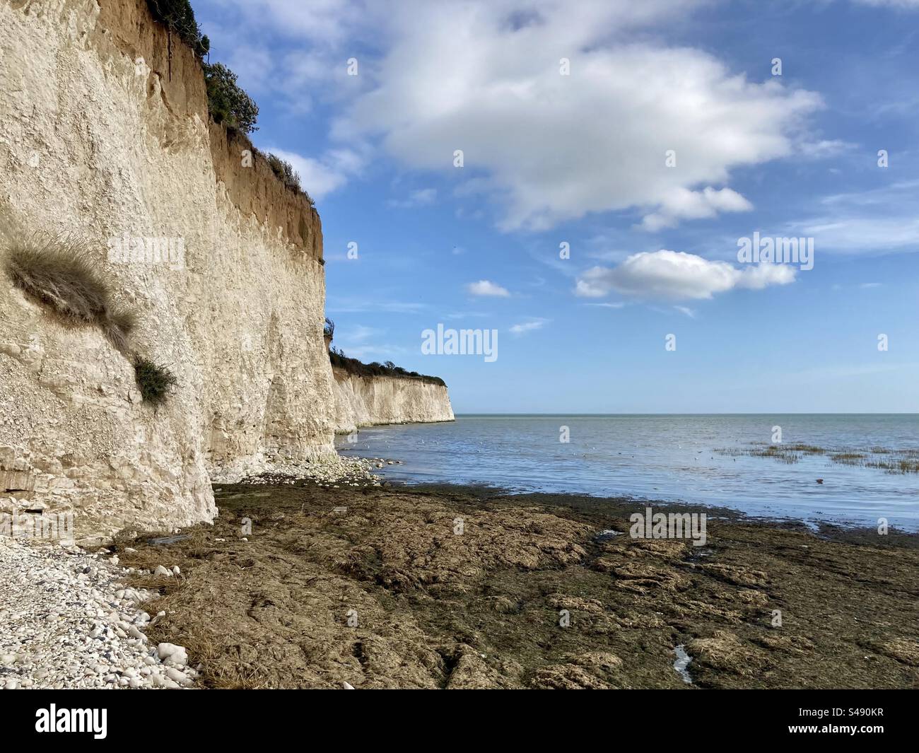 Cliffs at Pegwell Bay - Smartphone Captured Stock Image