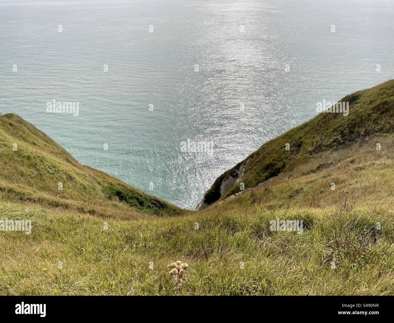 Looking down to the sea from the top of a Kent cliff Stock Photo