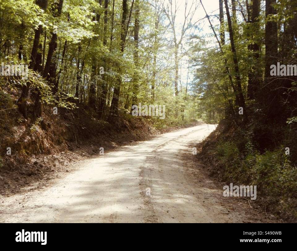 Old dirt road Stock Photo Alamy