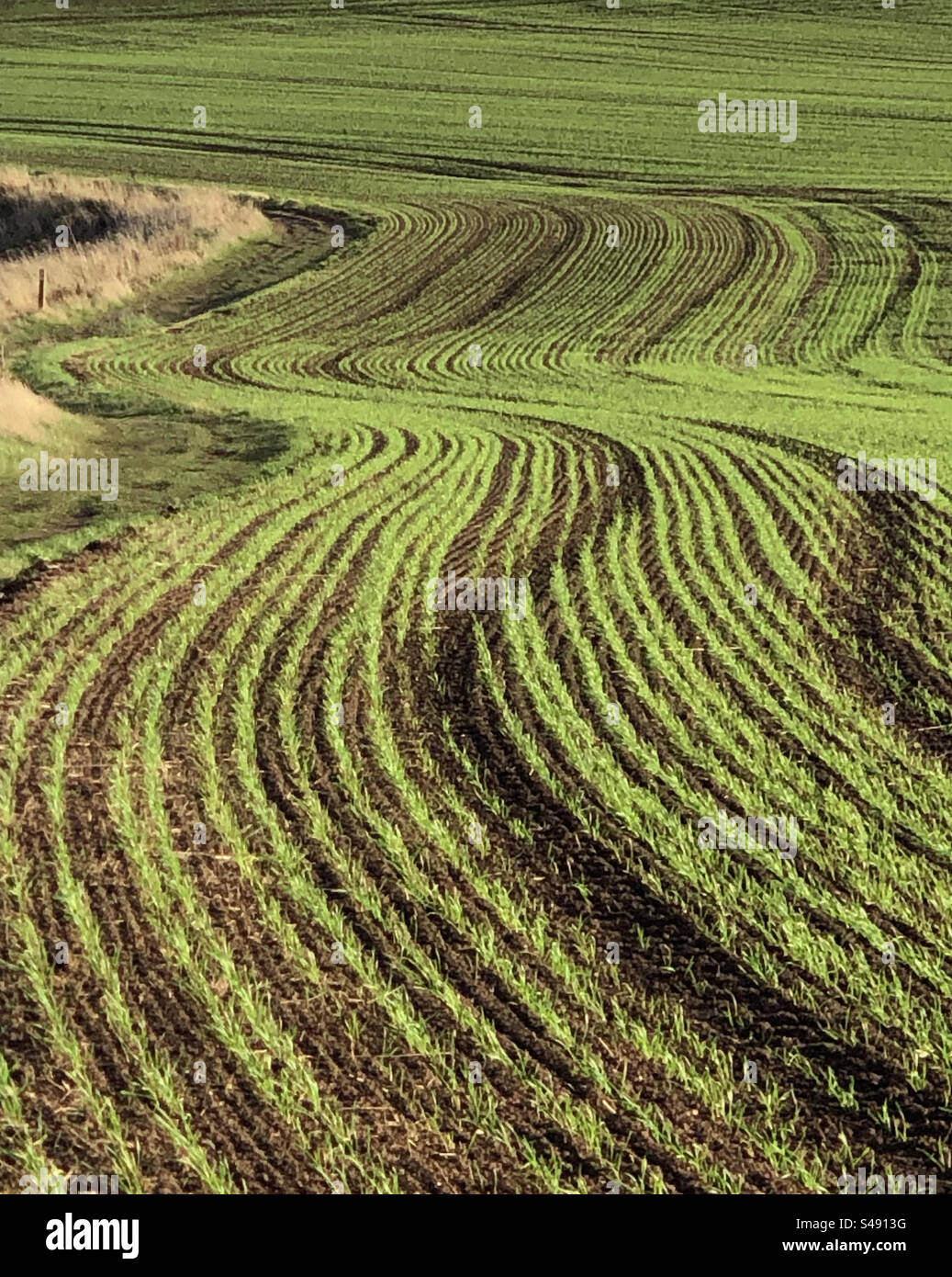 Ploughed field abstract pattern - Smartphone Captured Stock Image