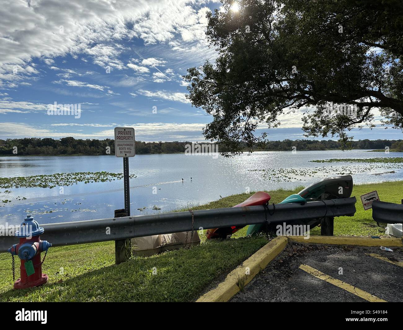Signs stating 'Private Property: Boats Will Be Towed' and 'No Swimming: Alligators Present' on Lake Lotus, FL, accompanied by canoes, a tree, a fire hydrant, and the sky. - Smartphone Captured Stock Image