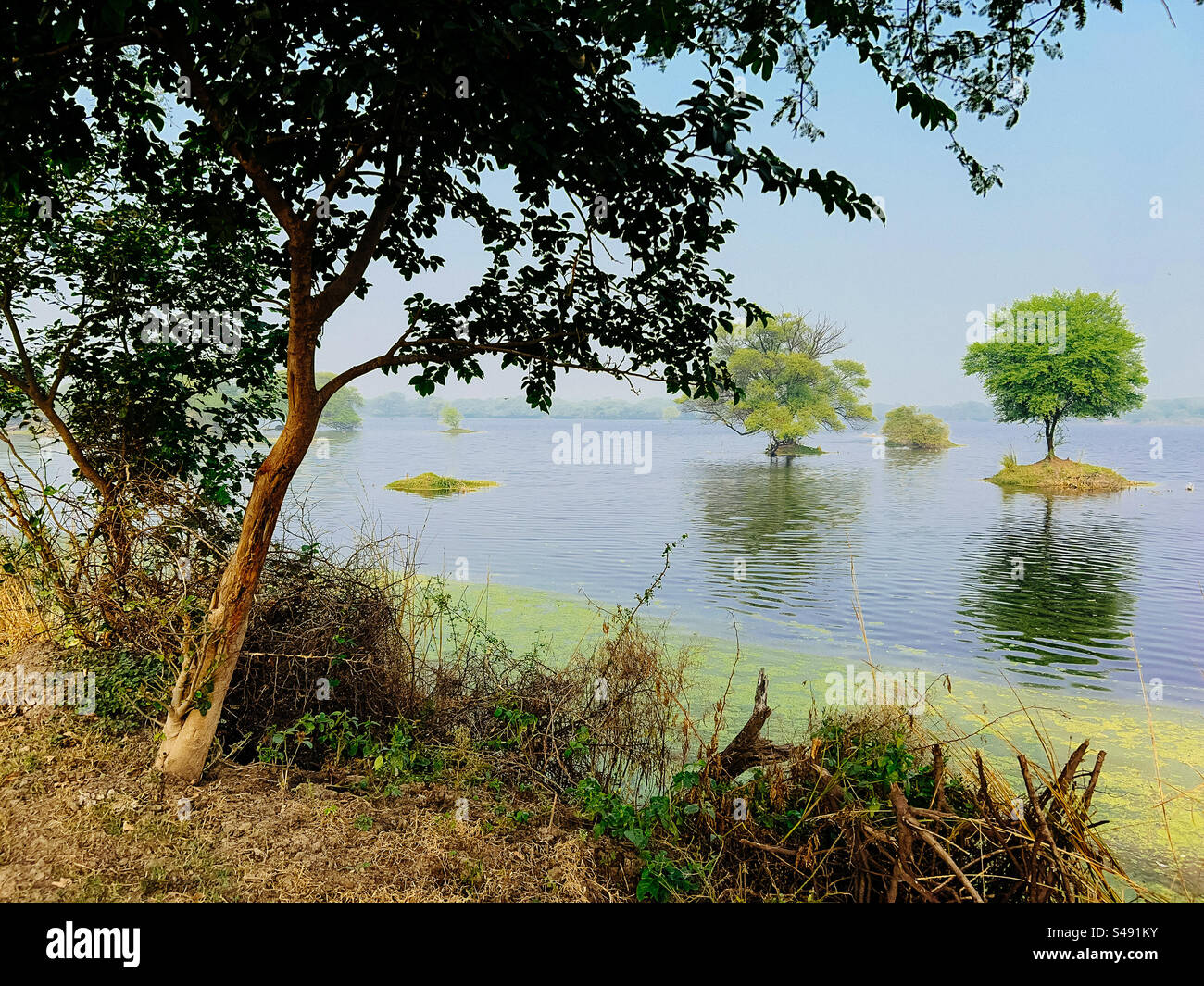 Peaceful scenery on canal hi-res stock photography and images - Alamy