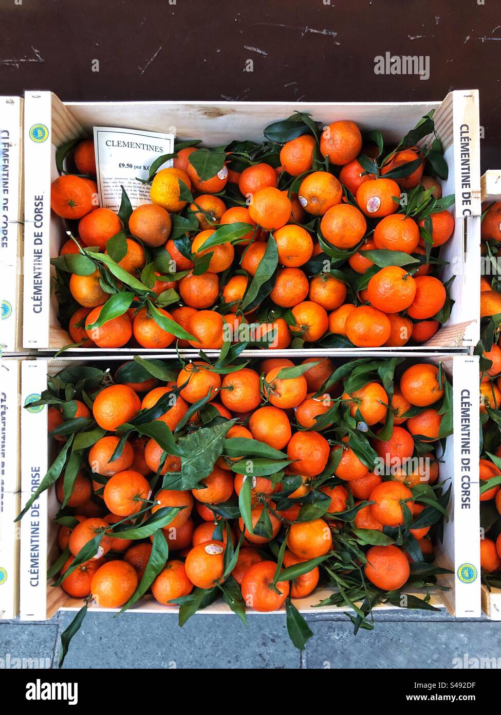 Ripe Christmas Clementines priced up for sale at local grocery store Stock Photo