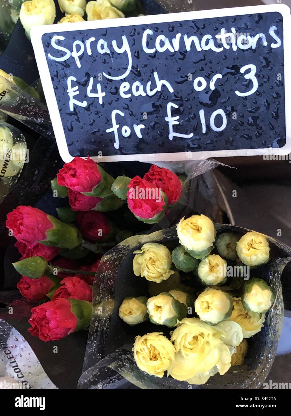 Spray carnations priced up for sale at Florist - Smartphone Captured Stock Image