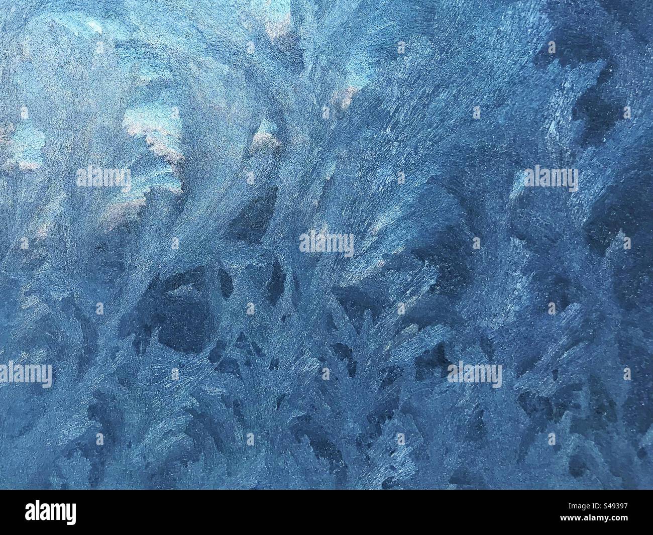 Winter pattern on glass - Smartphone Captured Stock Image