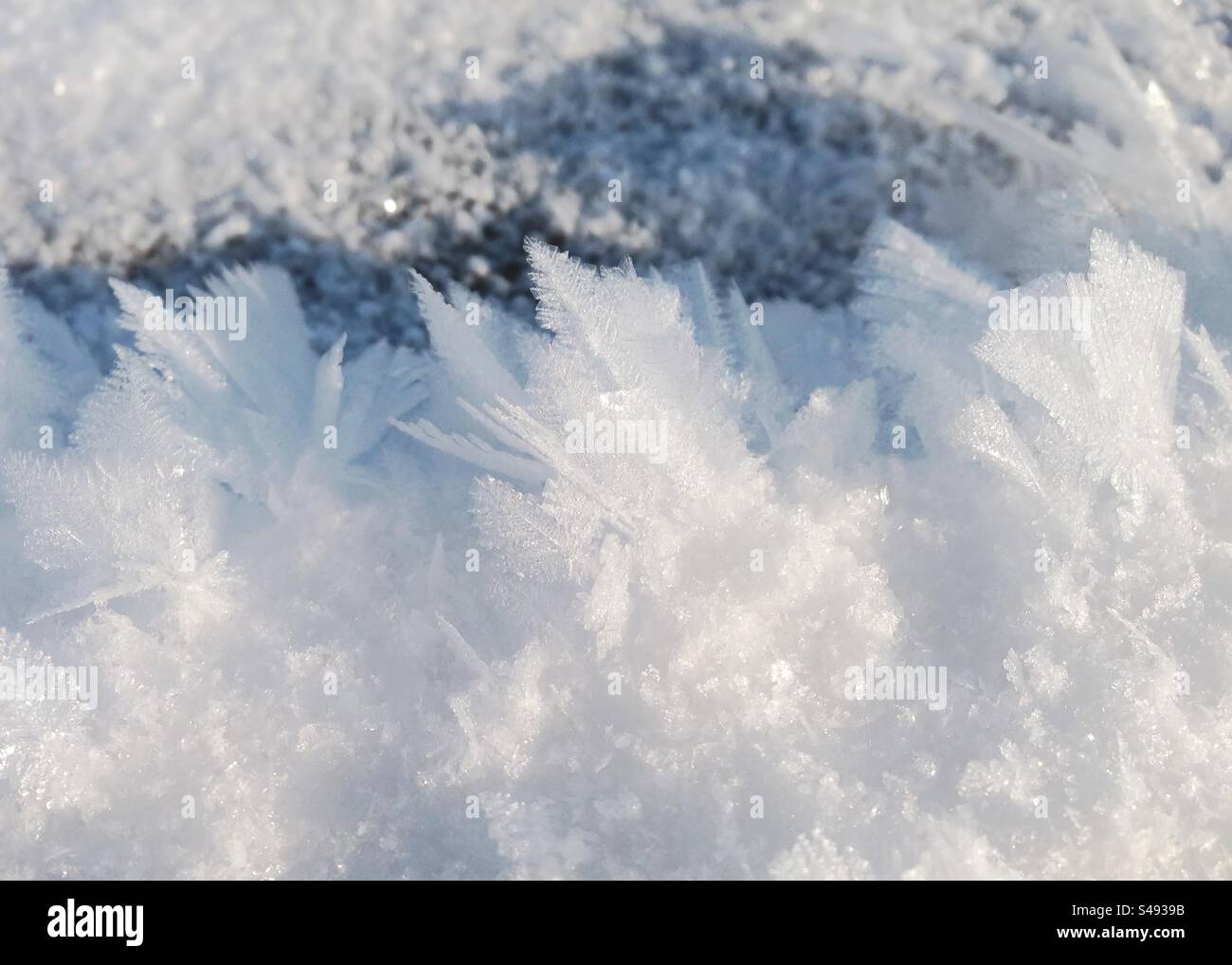 Snowflakes on frozen lake - Smartphone Captured Stock Image