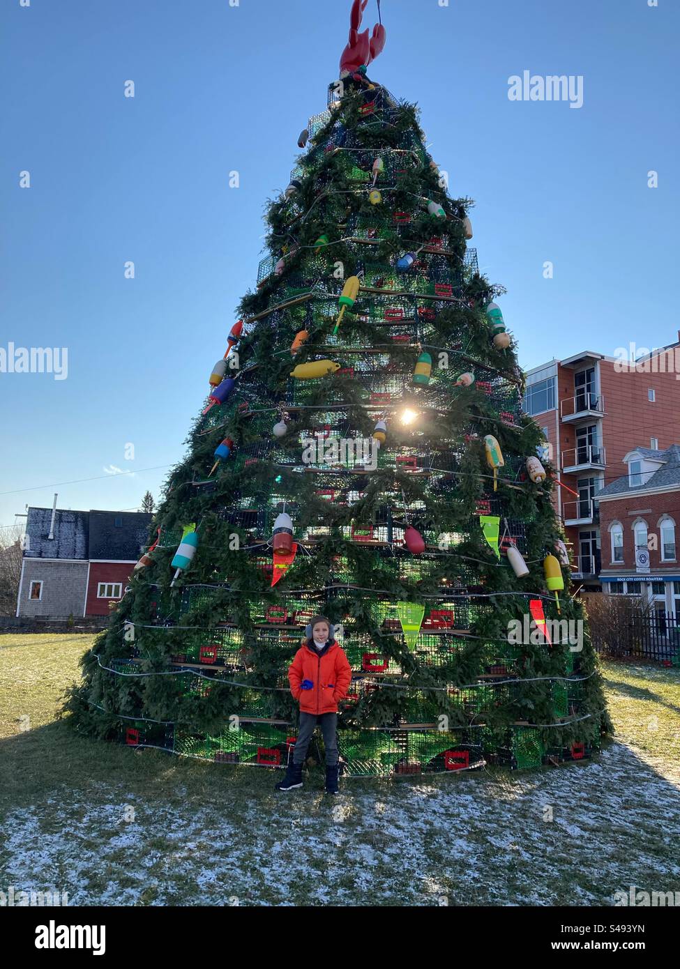 Lobster Trap Christmas Tree Rockland, Maine Stock Photo Alamy