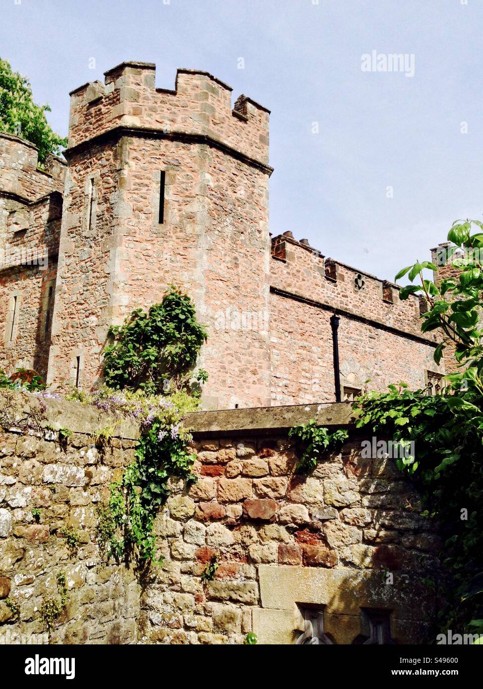 Dunster Castle, Dunster Somerset, England UK Stock Photo Alamy