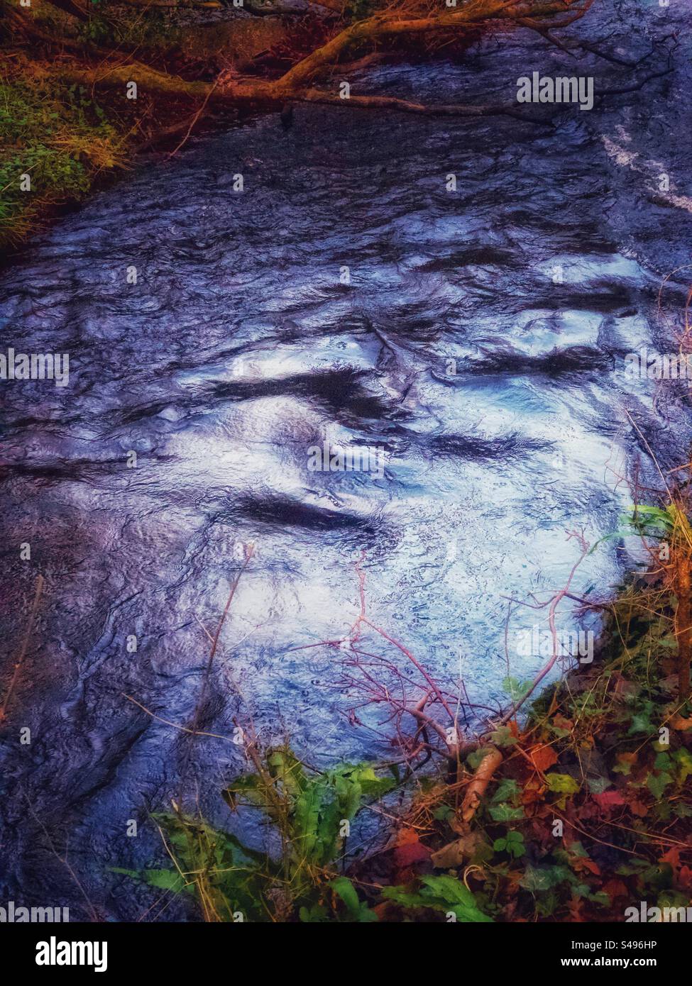 Wave moving up river.In flood.Day before shortest day in December.After heavy storm showers and gales North Wales UK. - Smartphone Captured Stock Image