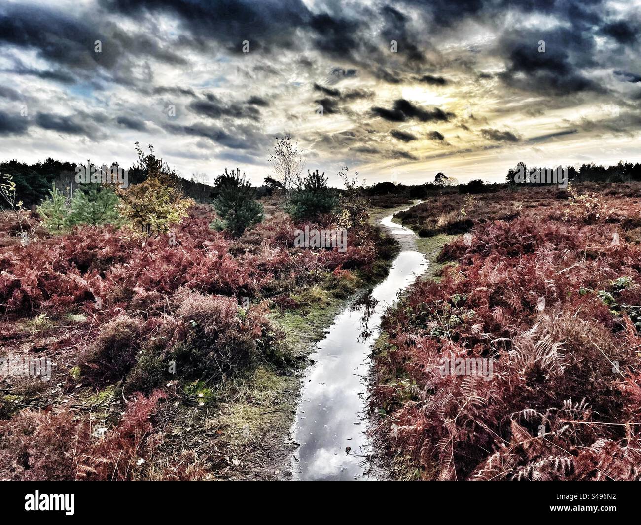 Pubic footpath Sutton Heath Suffolk - Smartphone Captured Stock Image