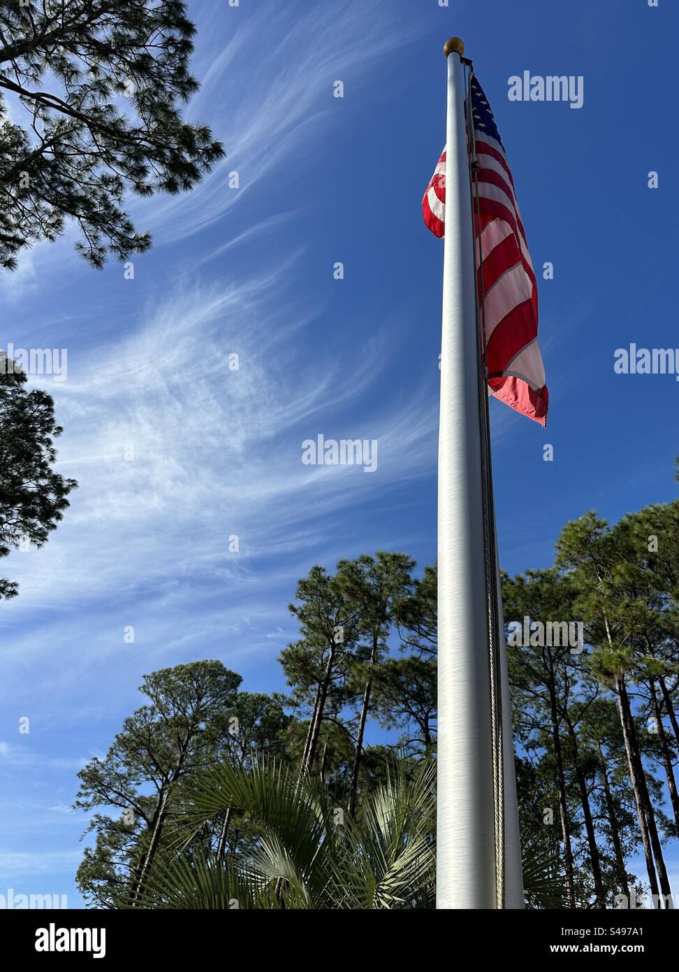 American flag on a steel pole with pine tree background Stock Photo