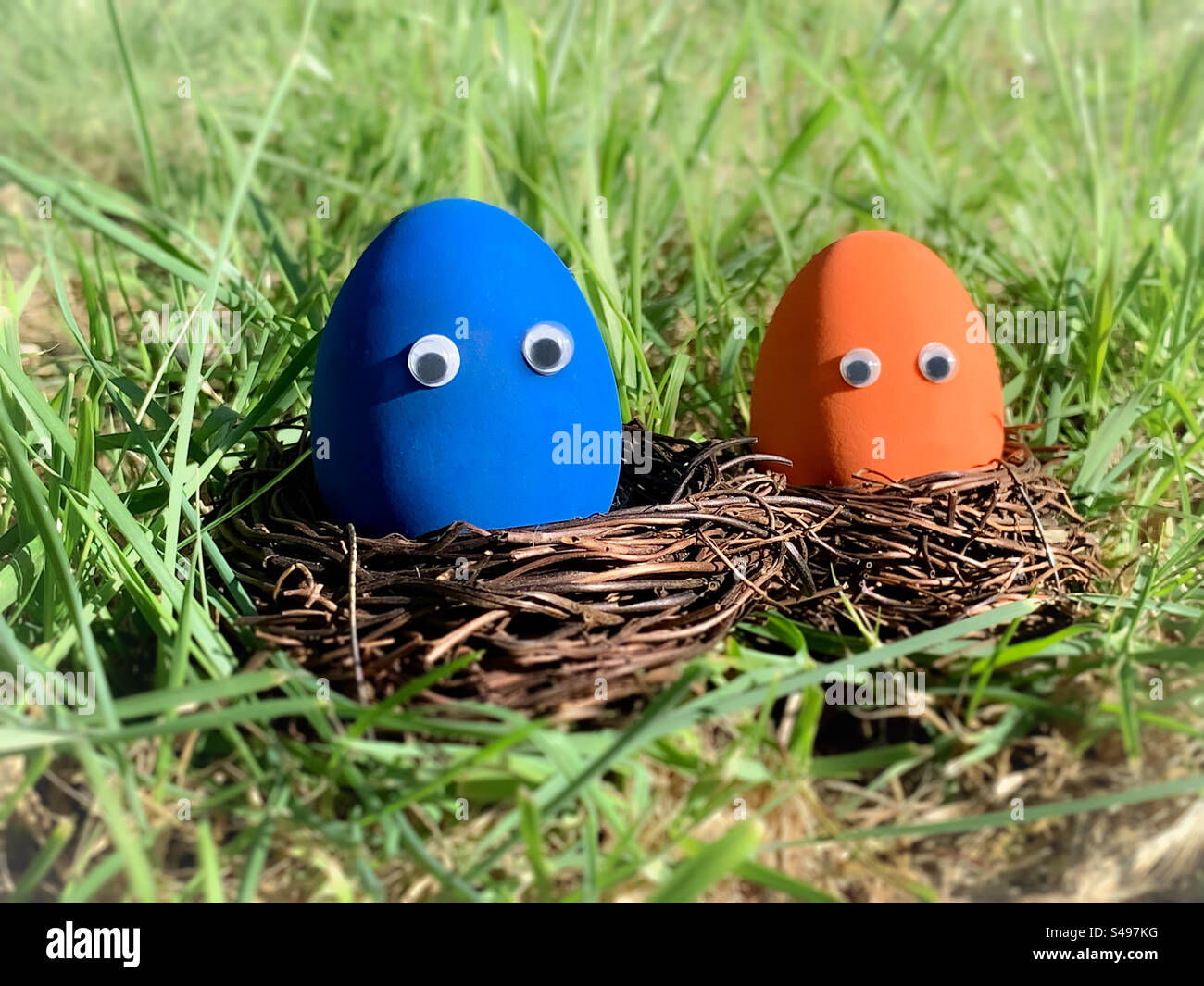 Colourful eggs sitting in nests with googly eyes - Smartphone Captured Stock Image