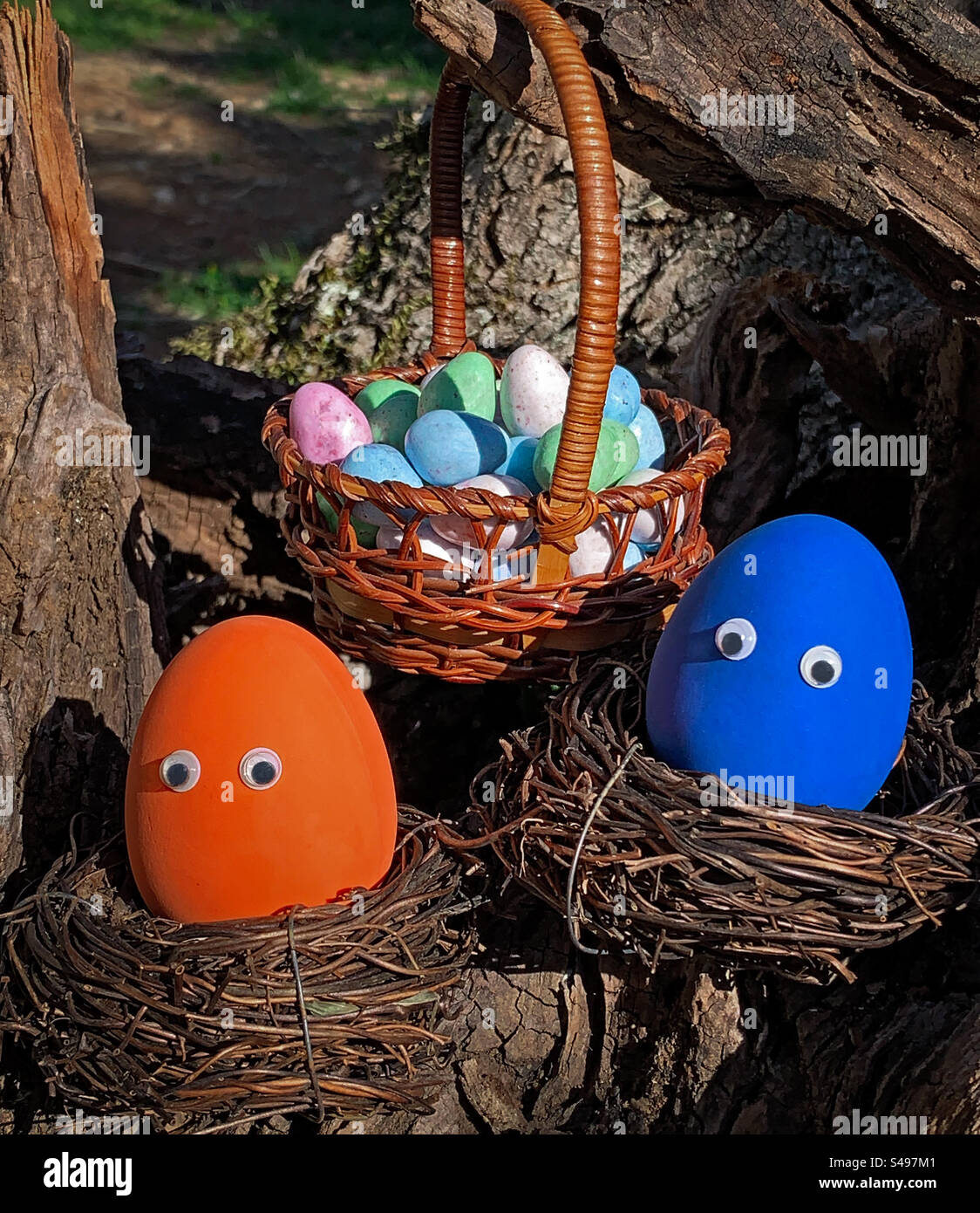 A basket of chocolate eggs with googly eyed eggs in nests - Smartphone Captured Stock Image