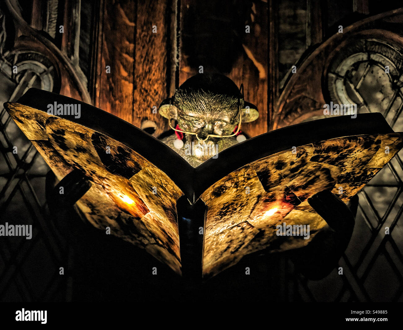 Monkey reading hi-res stock photography and images - Alamy