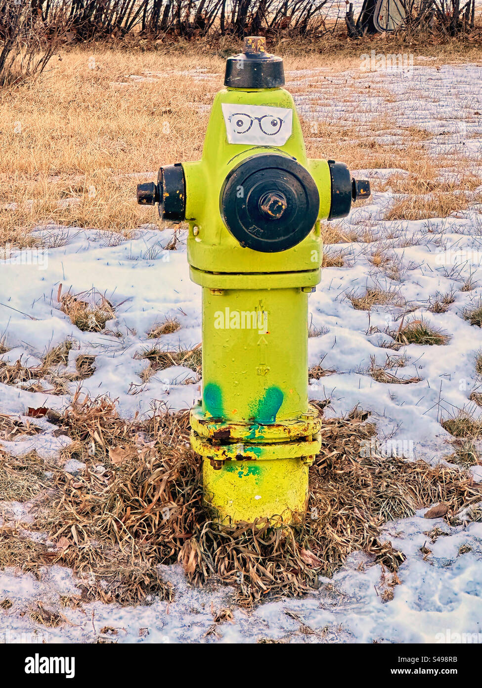 A yellow fire hydrant in a snowy winter field sports eyeglasses creating a silly expression thanks to a creative passerby. - Smartphone Captured Stock Image