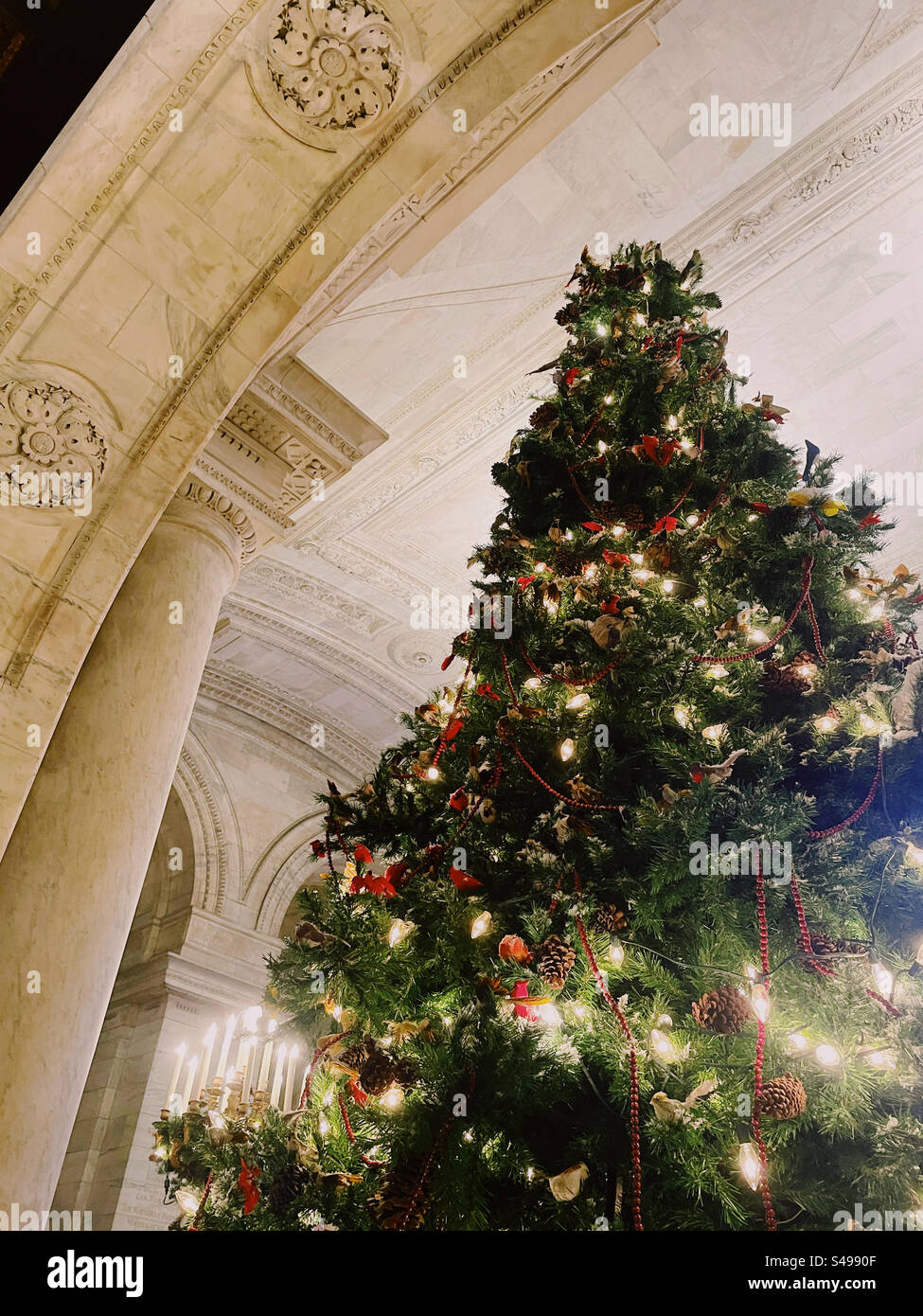 Christmas Tree Display, New York Public Library, NYC - Smartphone Captured Stock Image