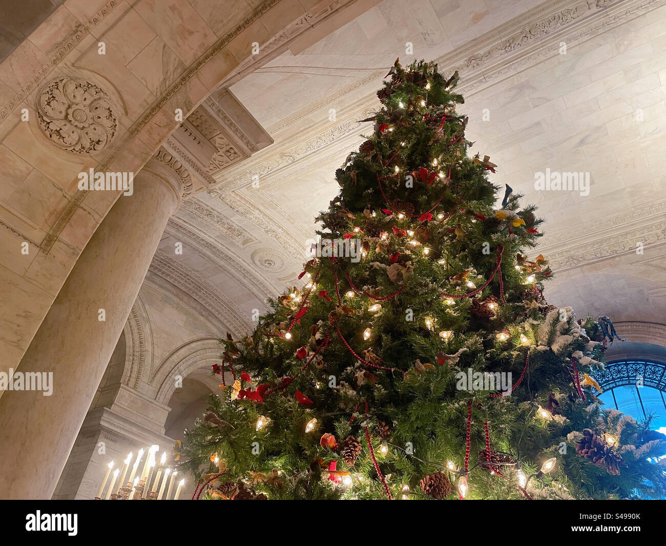 Christmas Tree Display, New York Public Library, NYC - Smartphone Captured Stock Image