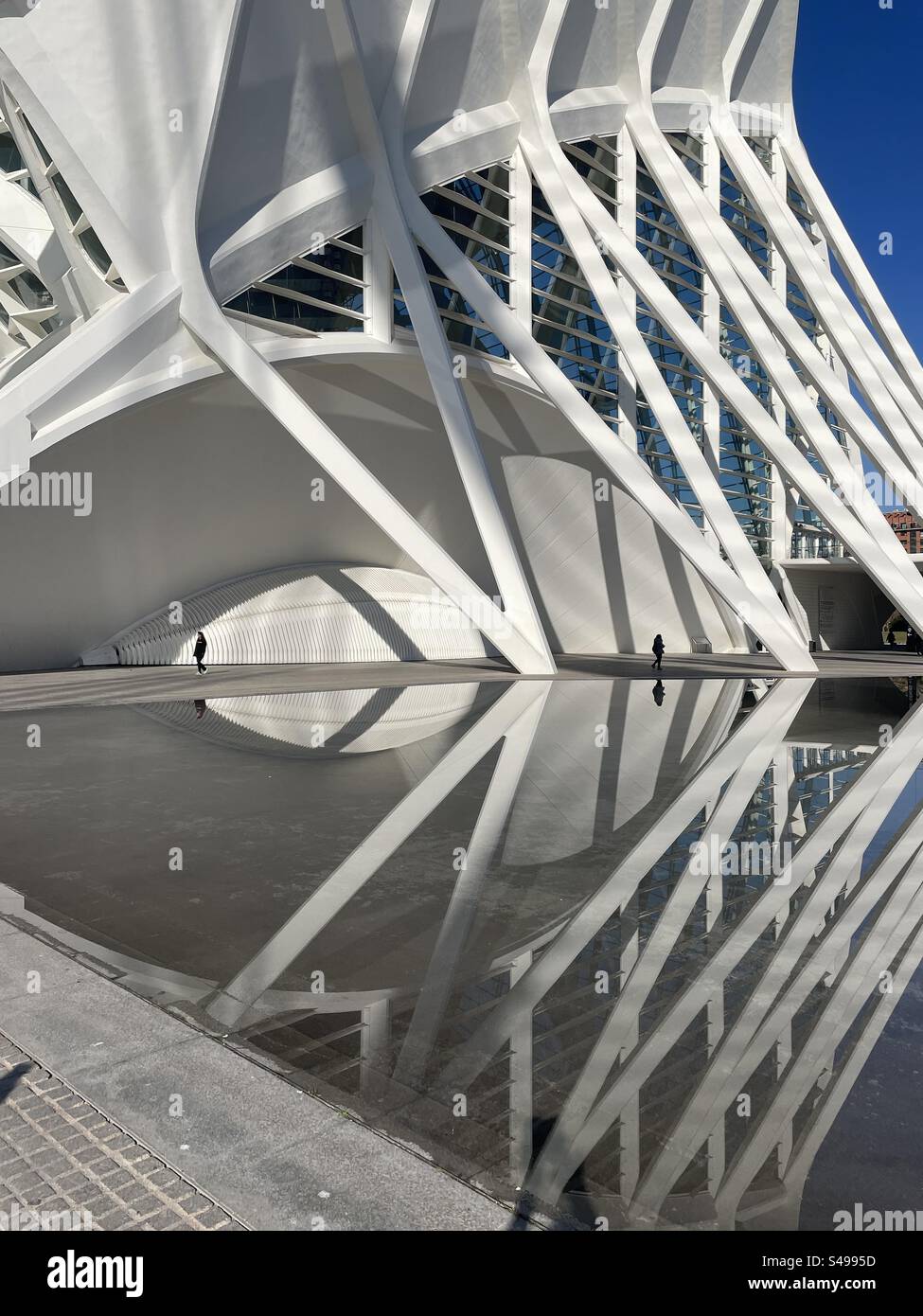 City of Arts and Sciences, Valencia. A close up of one of the buildings designed by architect Santiago Calatrava. An amazing and impressive play of form, size, light and reflection. Stock Photo