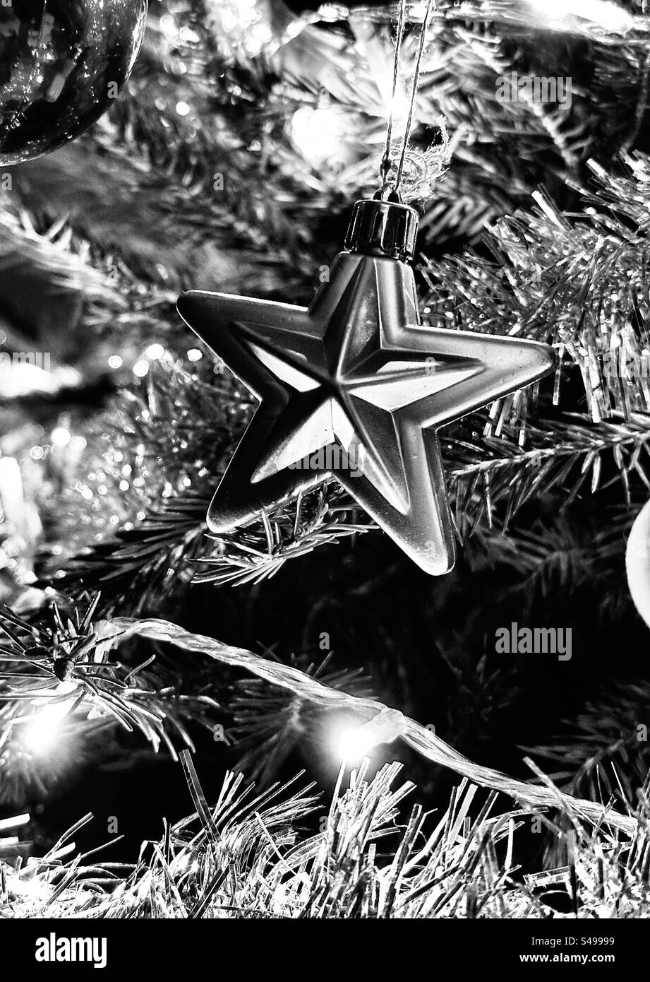 Christmas star hung on a tree Stock Photo Alamy
