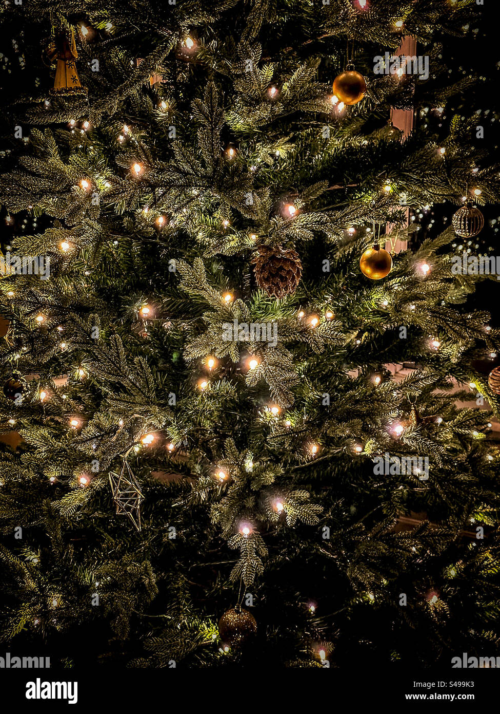 Reusable sustainable stylishly golden lit artificial Christmas tree in a modern home, eco-friendly festive decor: Phillip Roberts - Smartphone Captured Stock Image