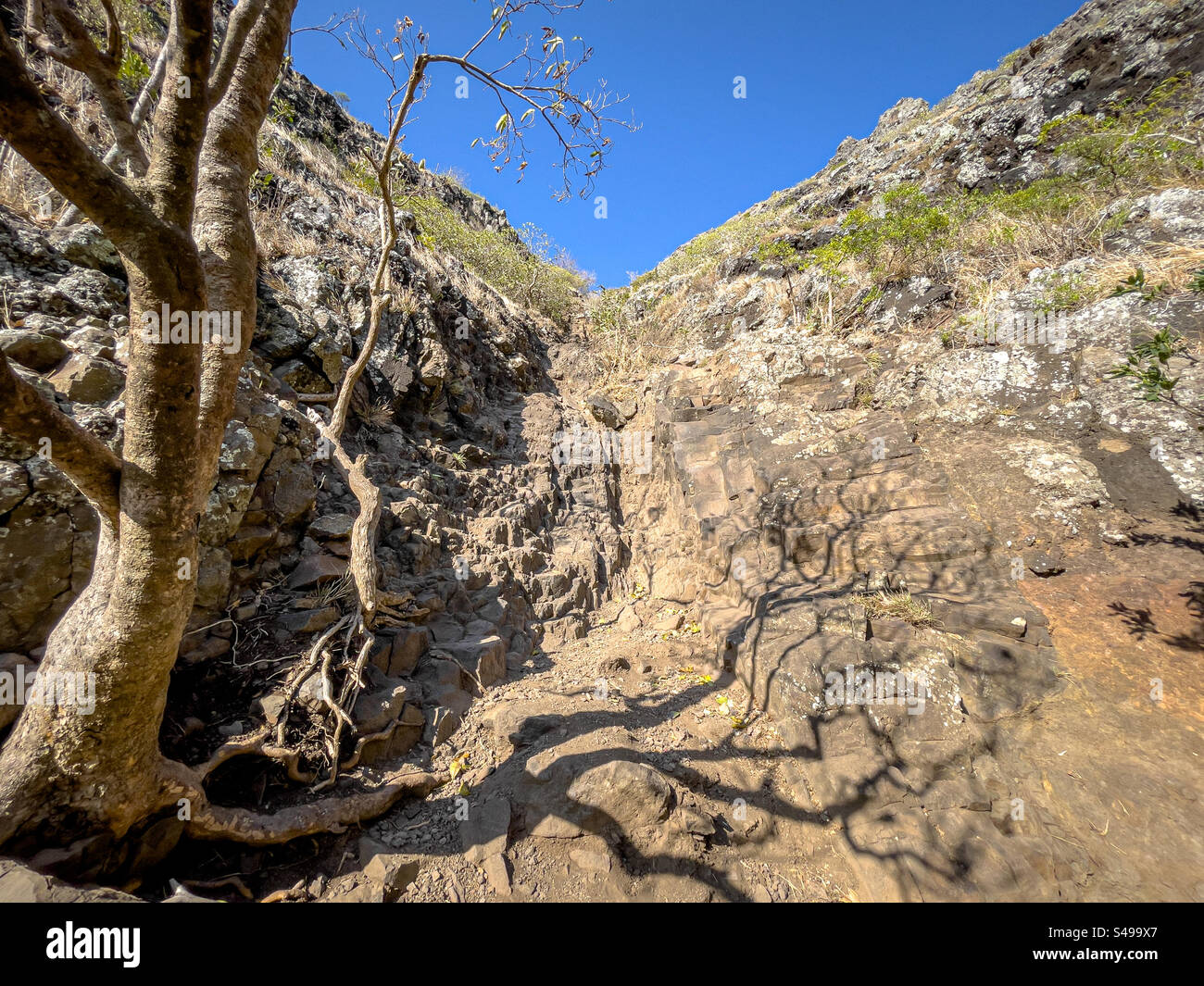 Hiking views of Le Morne Brabant Mountain, UNESCO World Heritage Site basaltic mountain with a summit of 556 metres, Mauritius - Smartphone Captured Stock Image