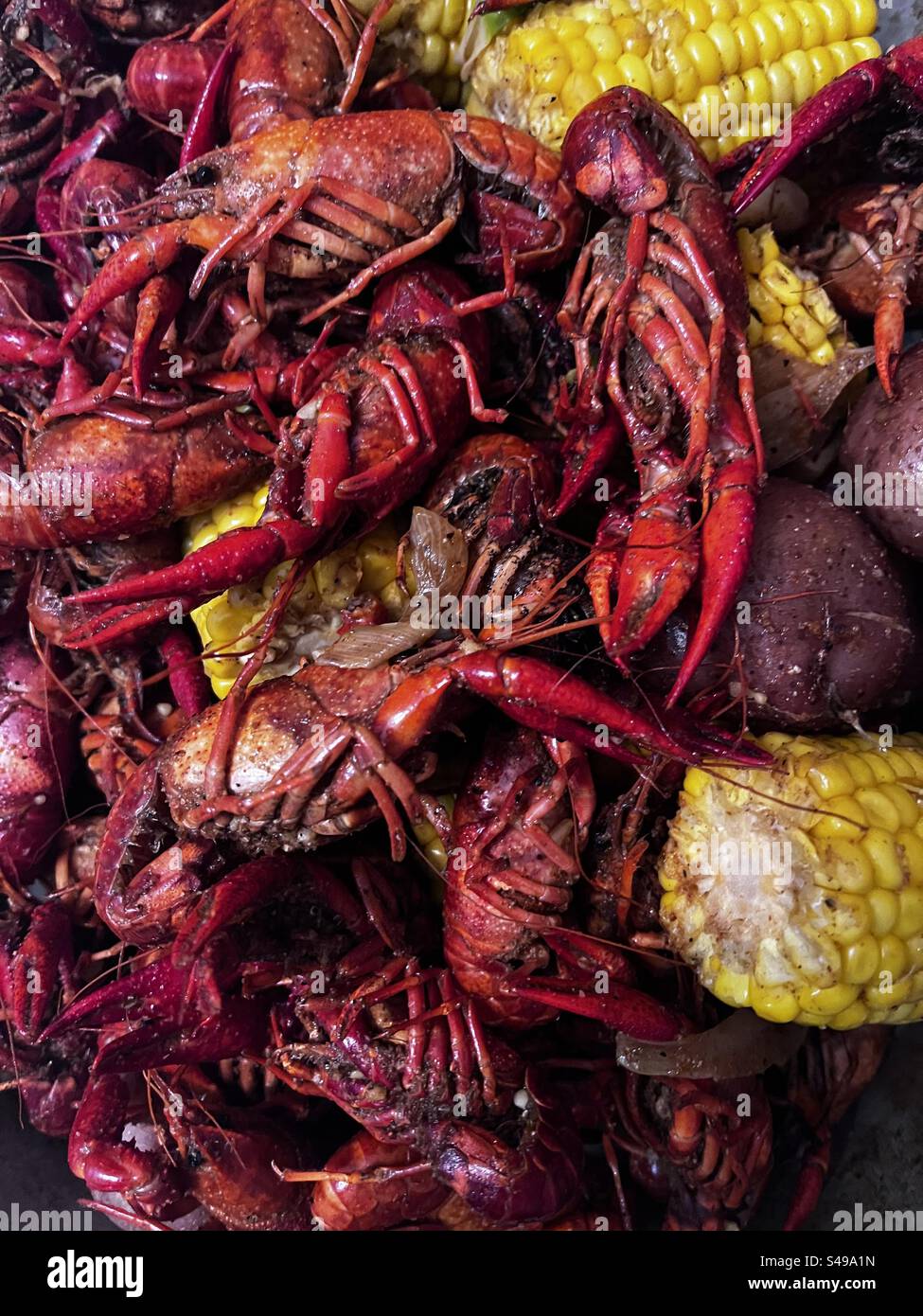 Crawfish boil - Shreveport, LA 2023 Stock Photo