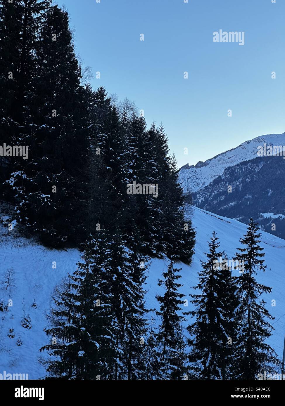 Winter in the Italian Alps - Smartphone Captured Stock Image