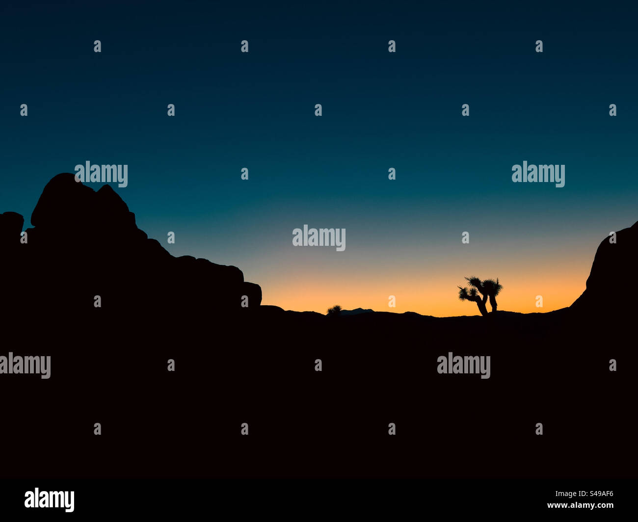 Silhouette at sunset in Joshua Tree National Park - Smartphone Captured Stock Image