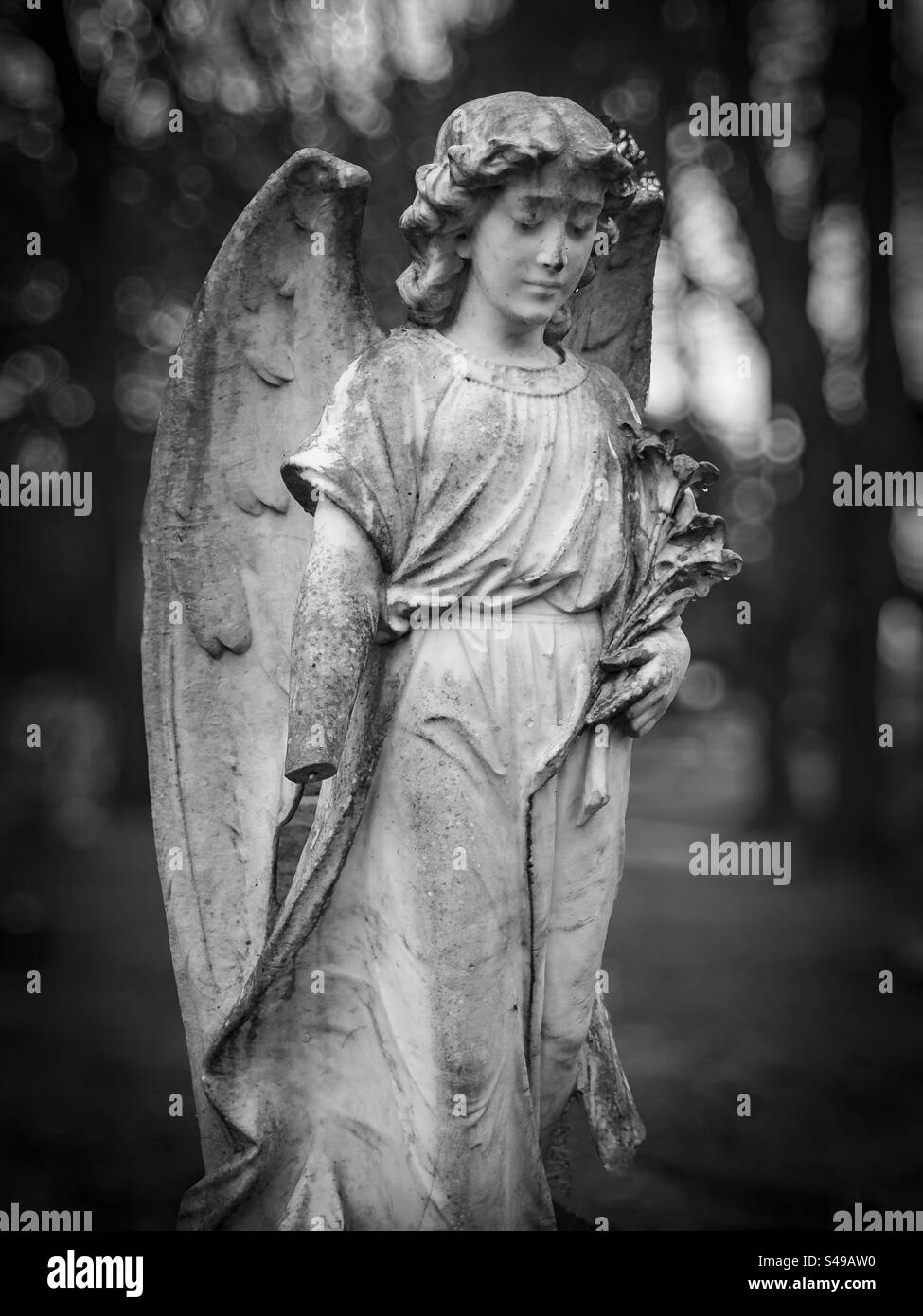 Cemetery angel statue: Phillip Roberts Stock Photo