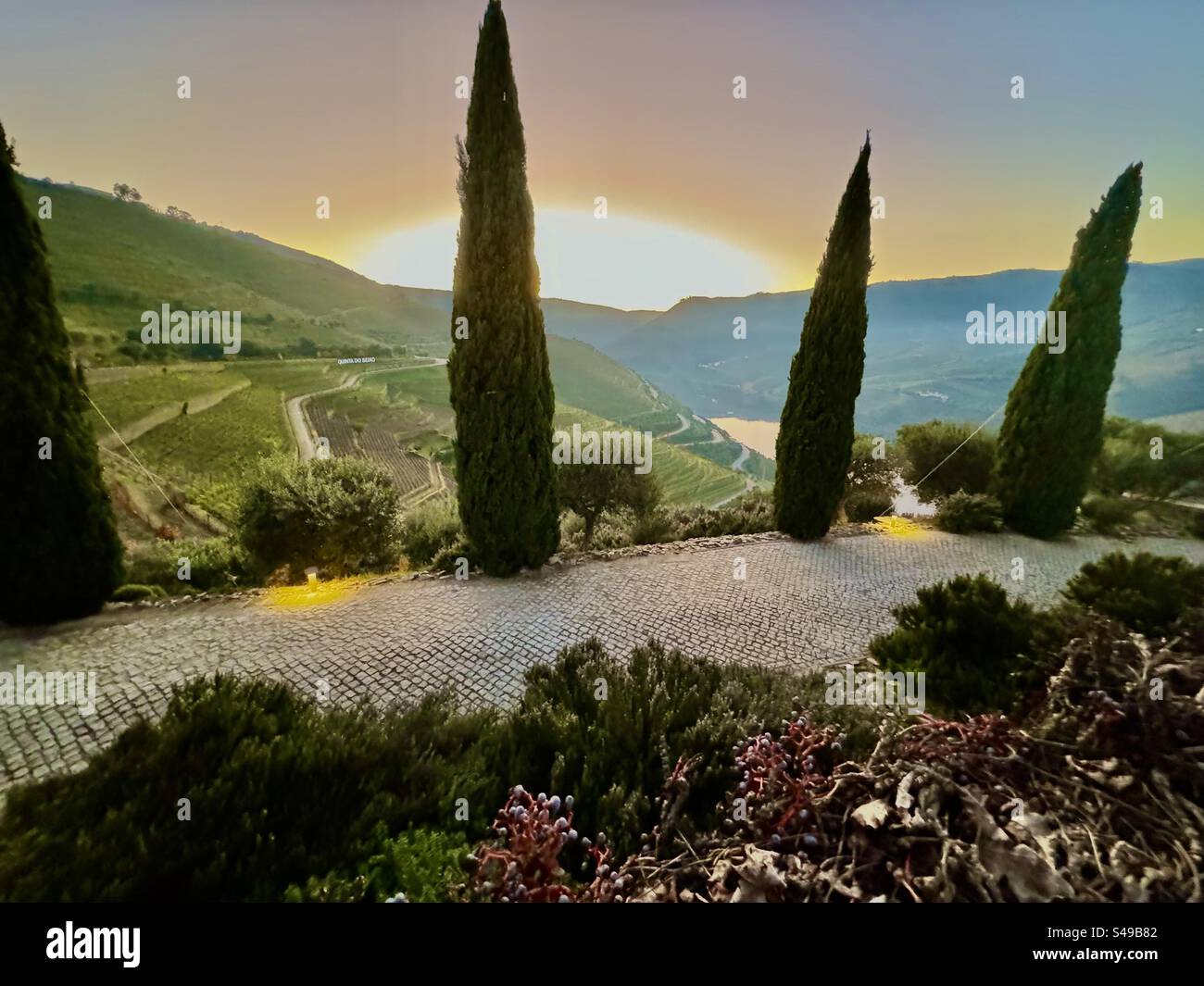 Sunset Douro Valley - Smartphone Captured Stock Image