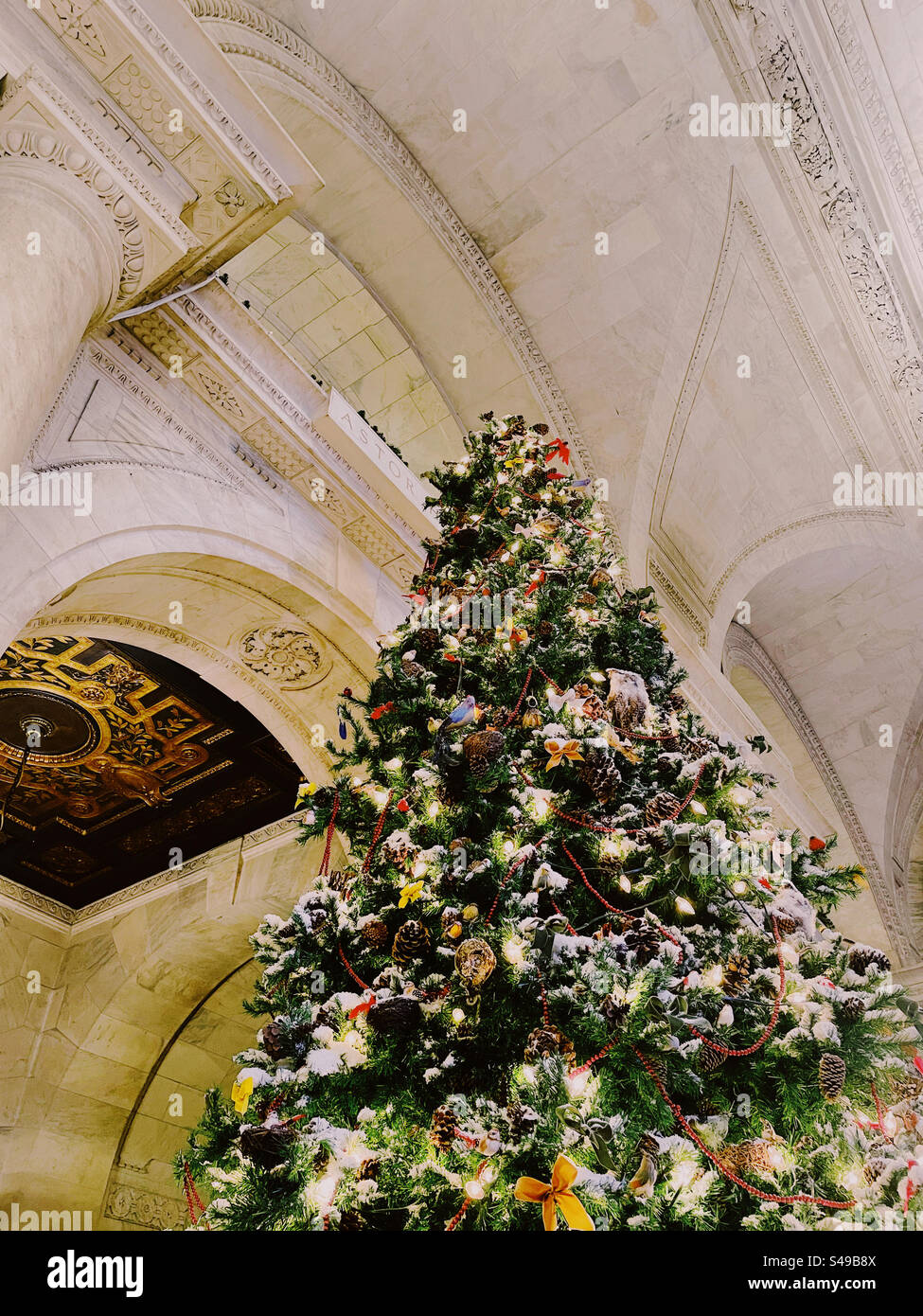 Christmas Tree Display, New York Public Library, NYC - Smartphone Captured Stock Image