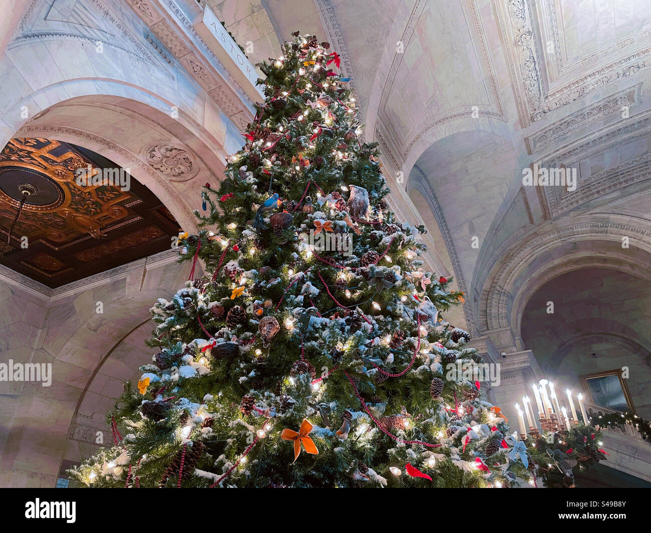 Christmas Tree Display, New York Public Library, NYC - Smartphone Captured Stock Image
