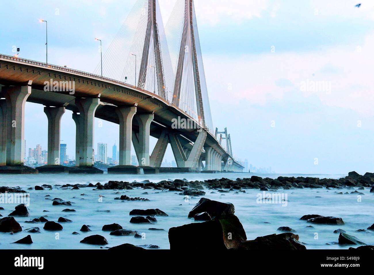 Bridging dreams across the Arabian waves, Bandra Worli Sea Link stands tall. Mumbai's lifeline in steel and concrete, connecting hearts and horizons. Stock Photo