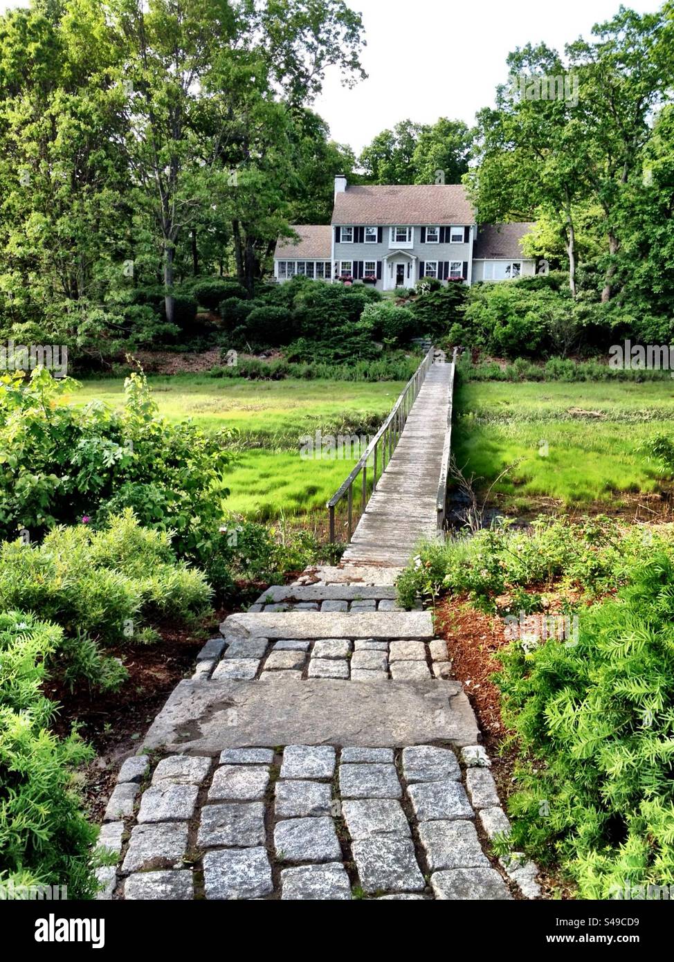 Two-story house, surrounded by nature in Madison, Connecticut, USA. Long walkway from the shoreline area to the home. - Smartphone Captured Stock Image