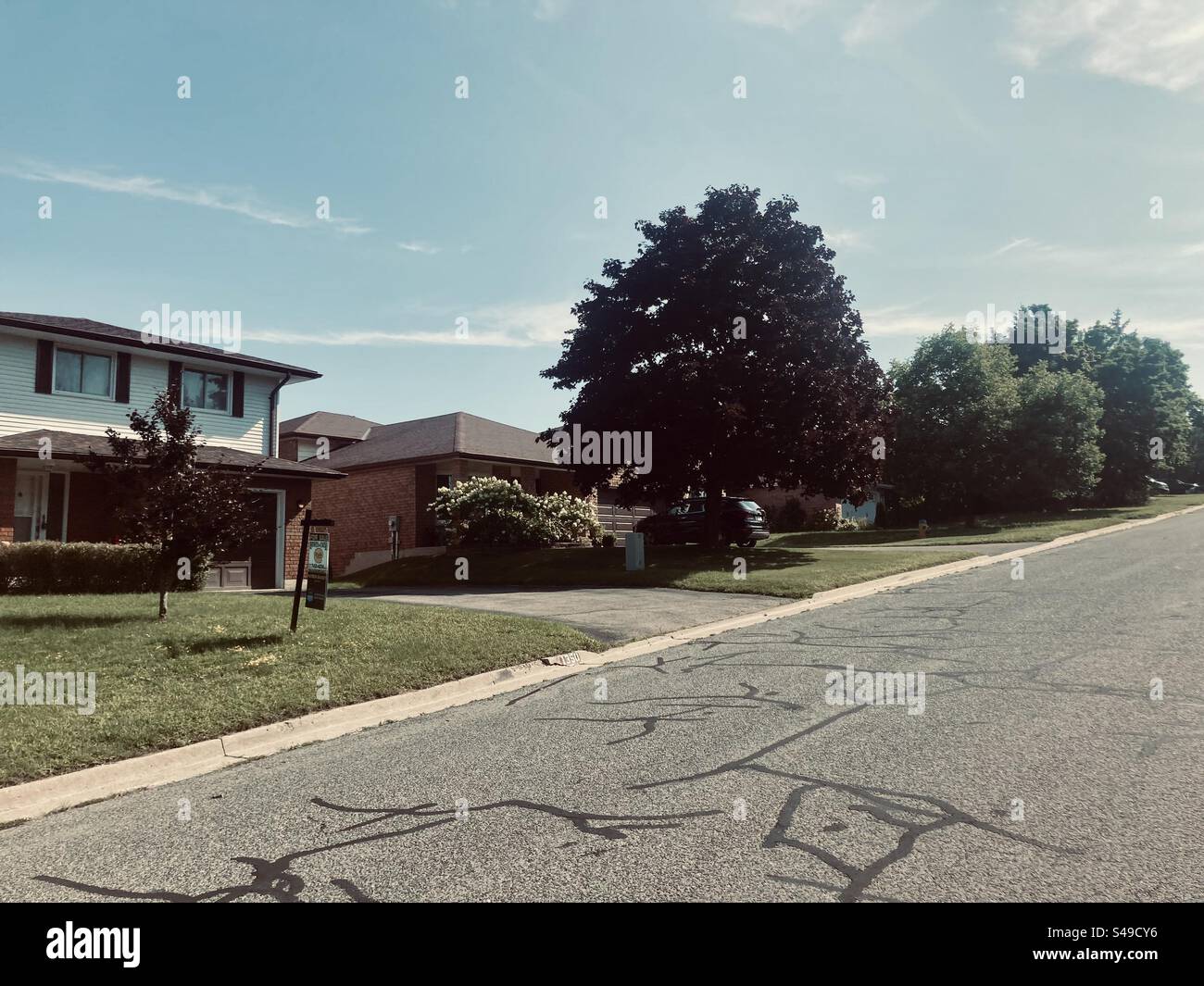 North American Canadian suburb with homes and trees - Smartphone Captured Stock Image