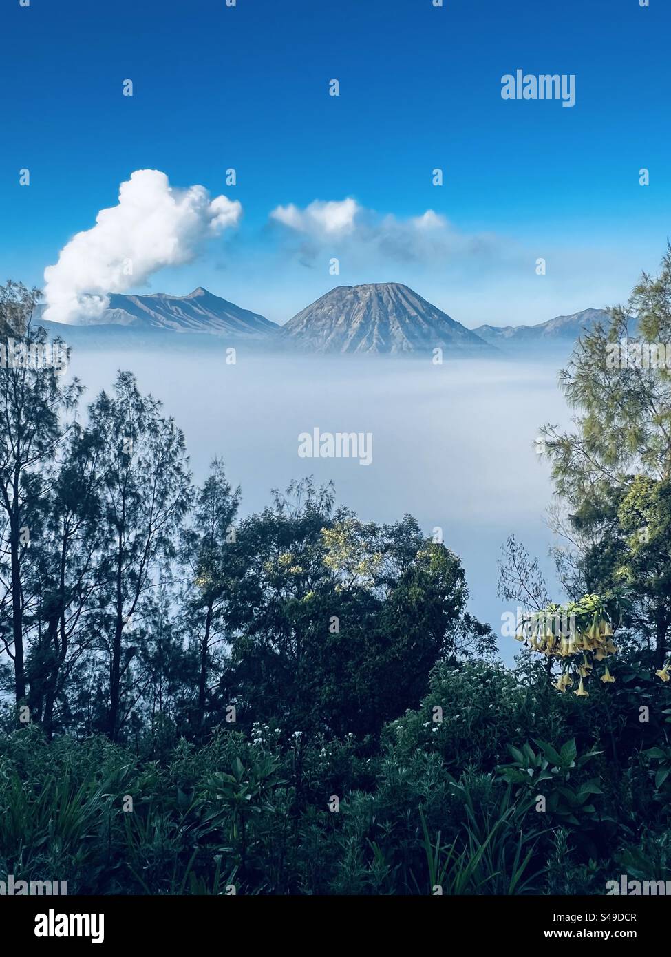 Bromo mountain Stock Photo