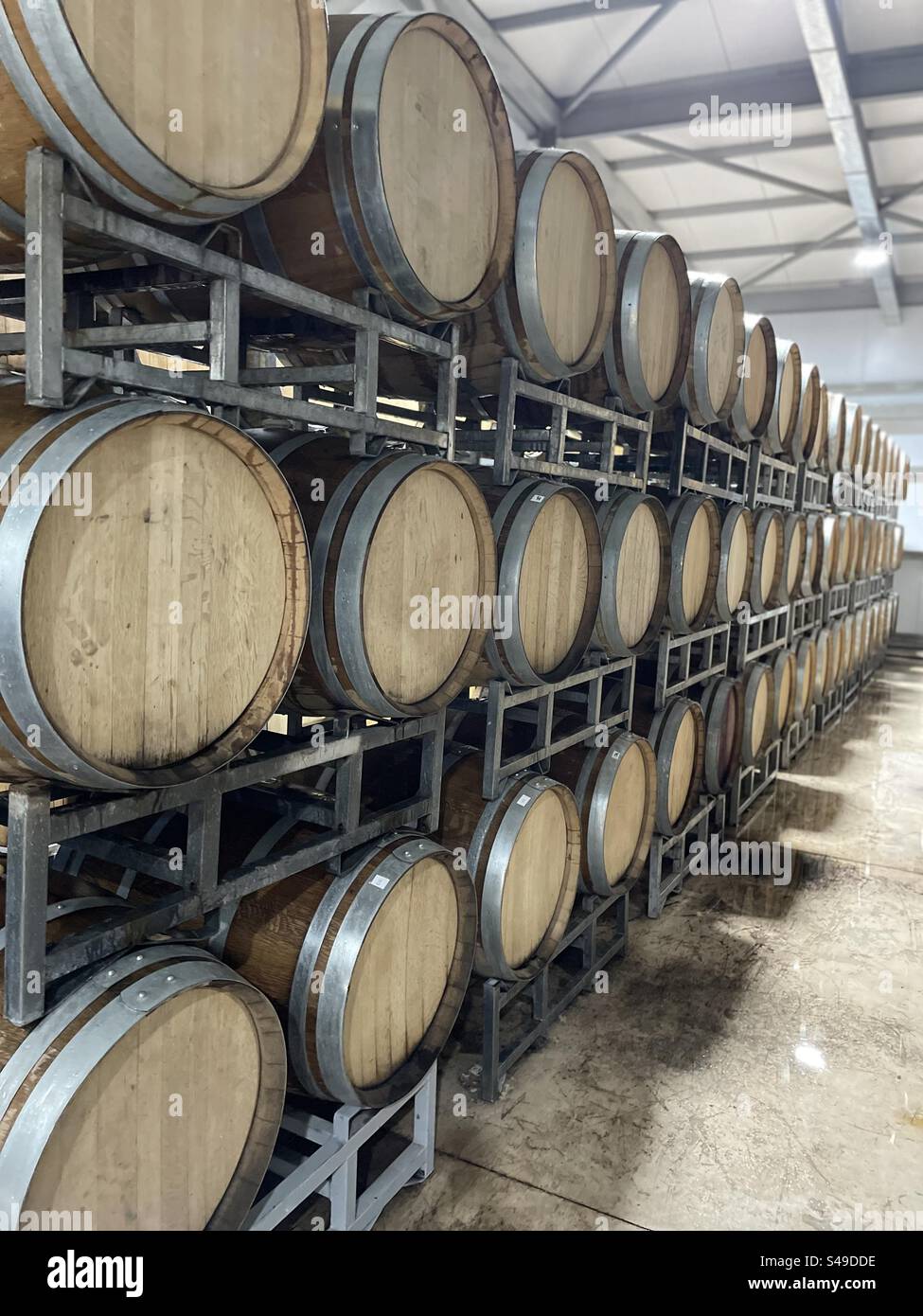 Winecellar in Mendoza Stock Photo