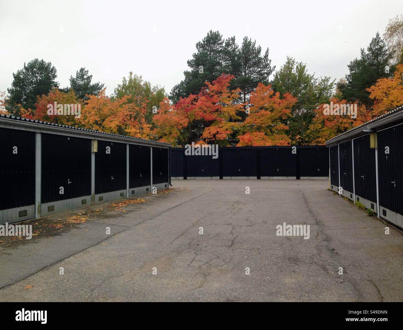 Beautiful autumn perspective view to the open space with cracked asphalt between low metal geometric shape warehouse garages with black doors and vibrant fall colours trees on the background in suburb - Smartphone Captured Stock Image