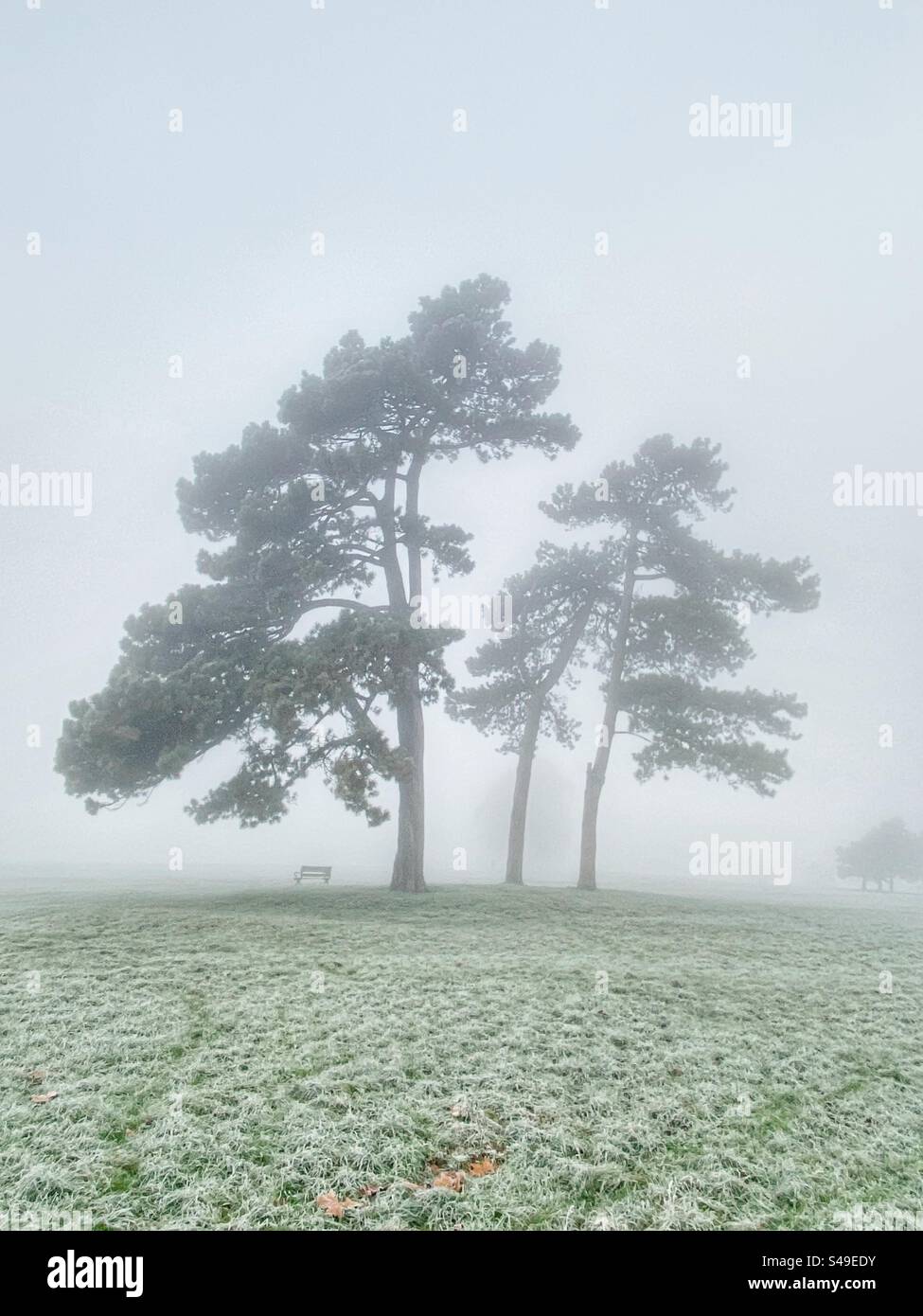 Misty damp day in winter on the Clifton Downs, Bristol, UK, England - Smartphone Captured Stock Image