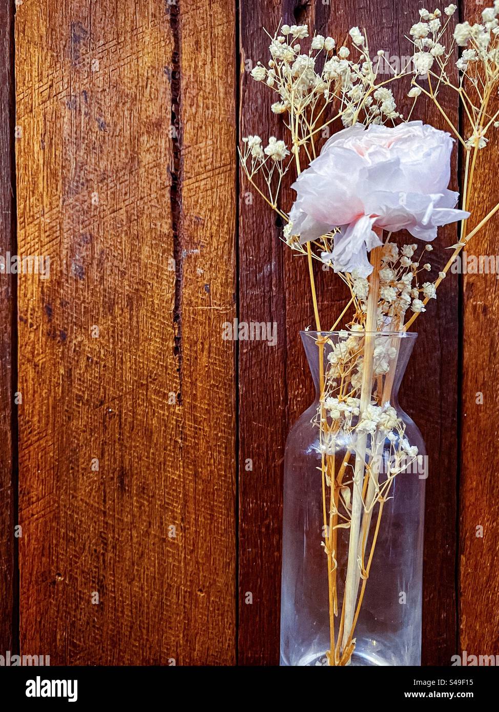 Single pale pink rose and dried white flowers in a glass vase on stained wood background. Cottagecore aesthetics. Vintage style. Still life. - Smartphone Captured Stock Image