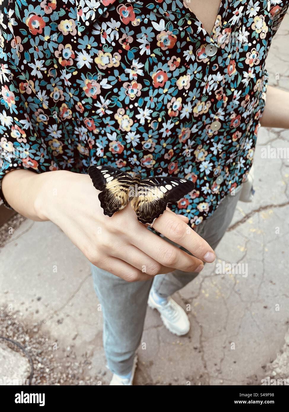 a butterfly on a girl's hand Stock Photo