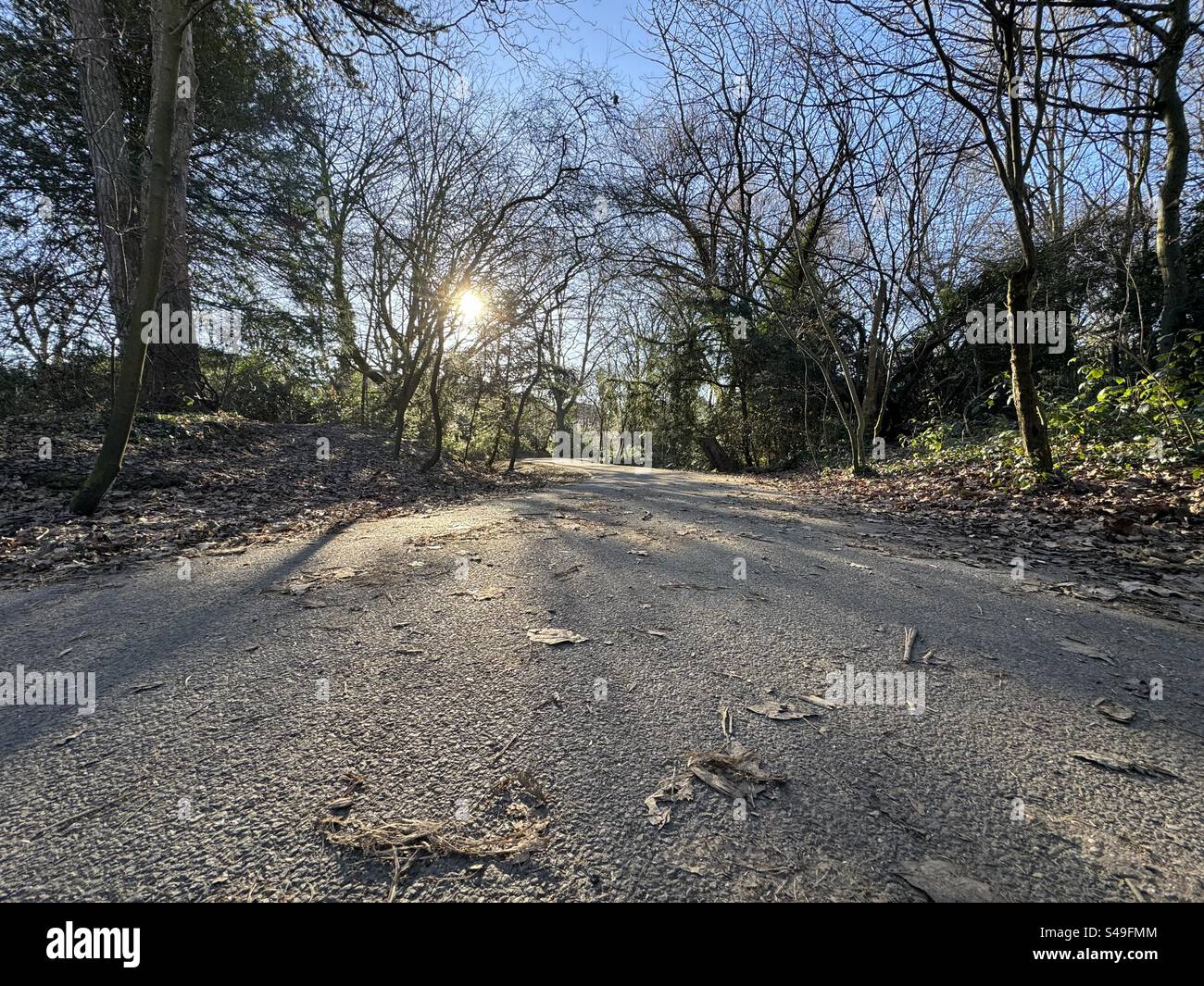 A low angle photo of Dollis Brook (North Finchley, London) in the winter sun - Smartphone Captured Stock Image