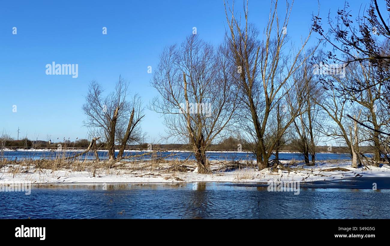 Narew river in Poland - Smartphone Captured Stock Image