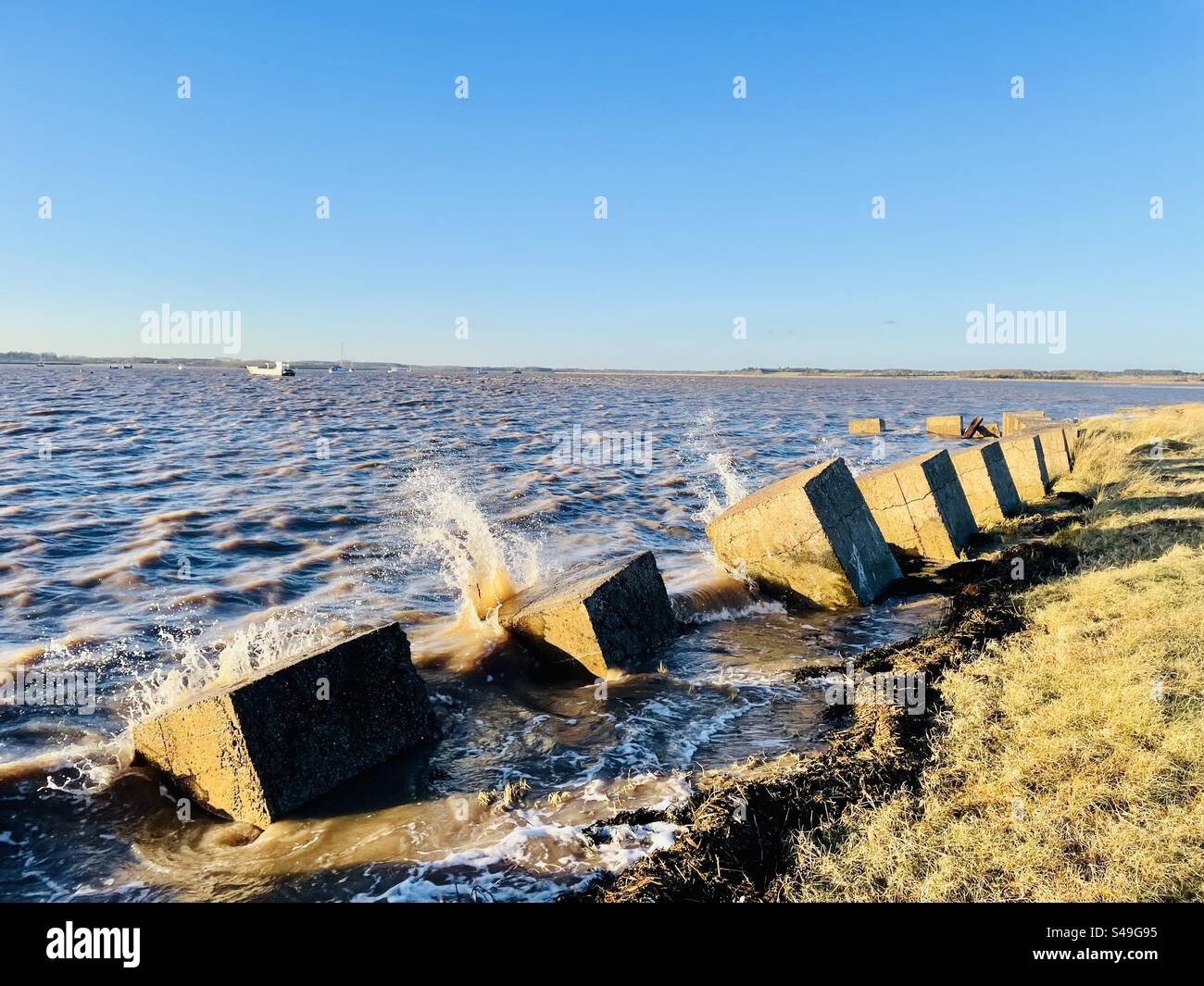 World War Two anti invasion concrete blocks Bawdsey Ferry Suffolk - Smartphone Captured Stock Image