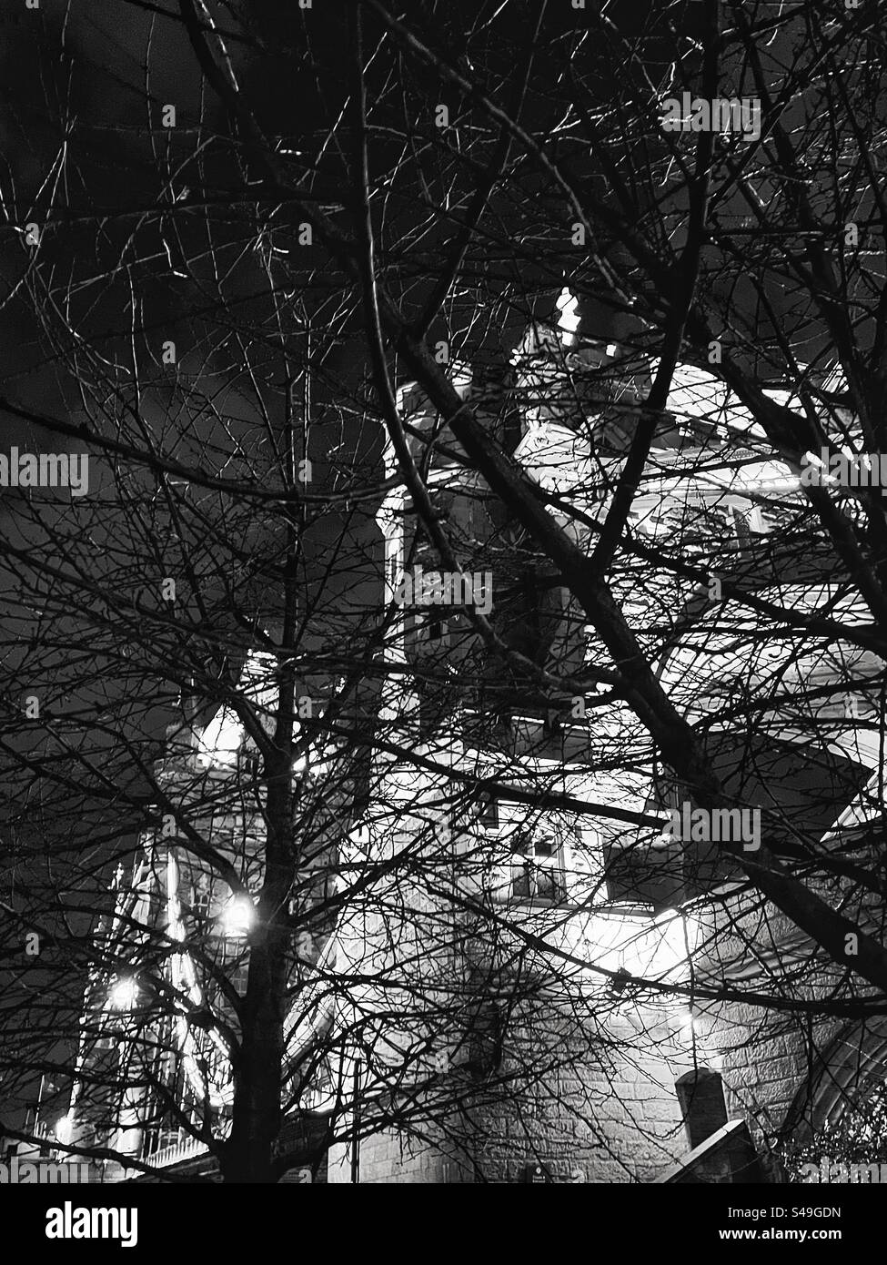South bank of the river Thames looking at Tower Bridge through the trees at night. Black and white photograph. - Smartphone Captured Stock Image