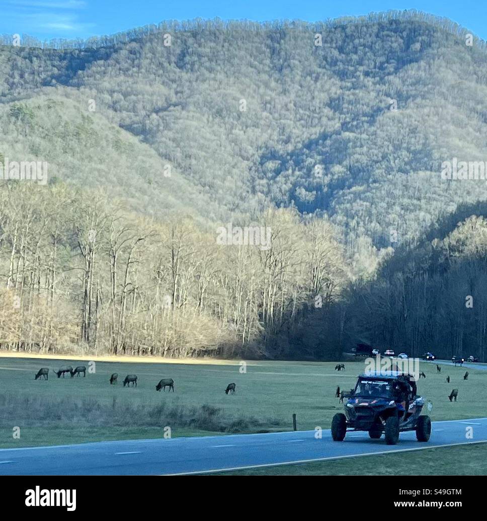 Where Are The Elk In North Carolina