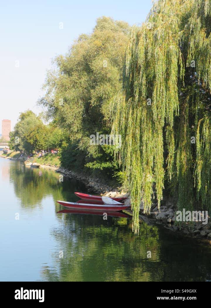Boats on the River! Switzerland! - Smartphone Captured Stock Image