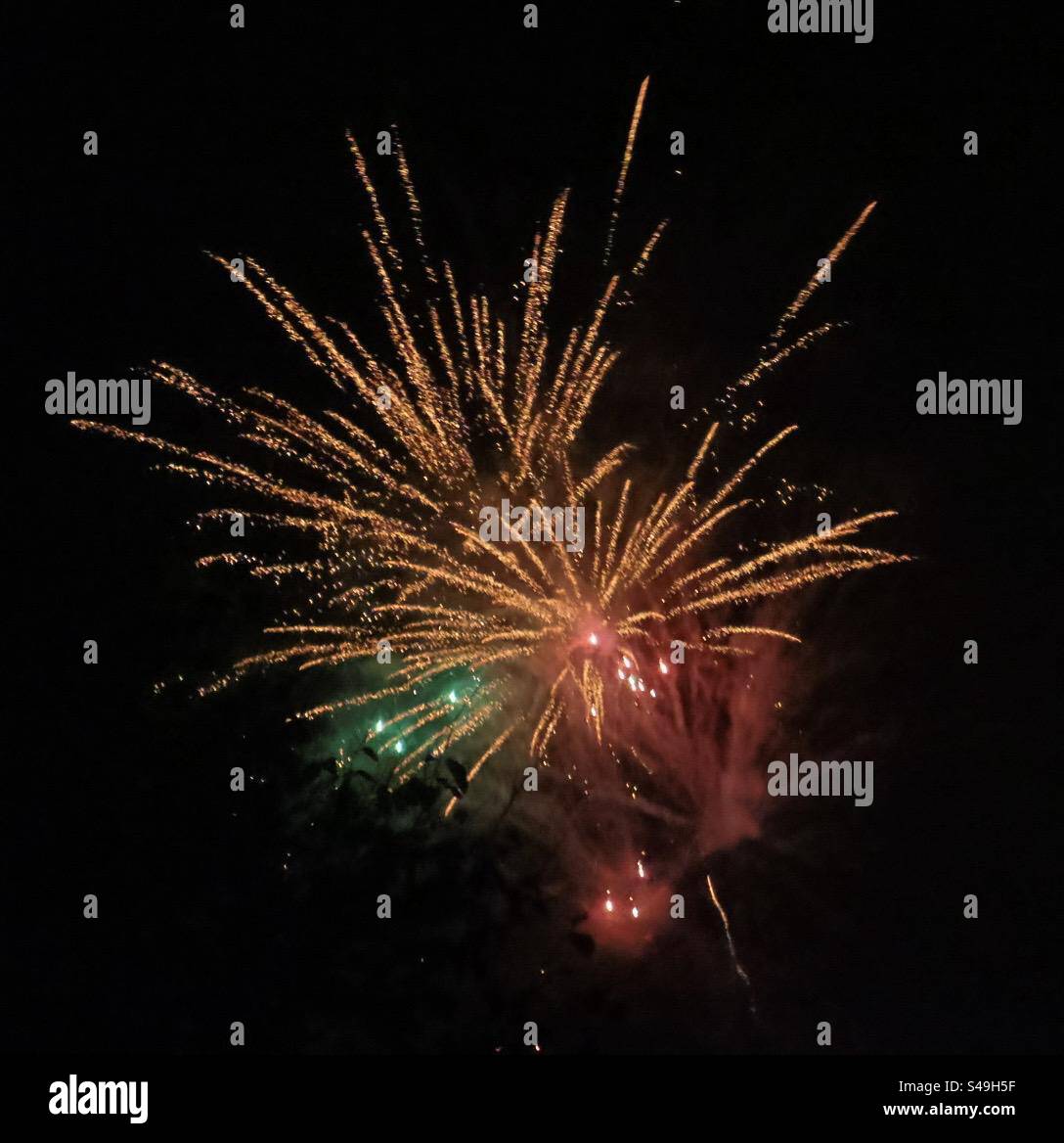 Multicoloured fireworks exploding in a dark night sky Stock Photo