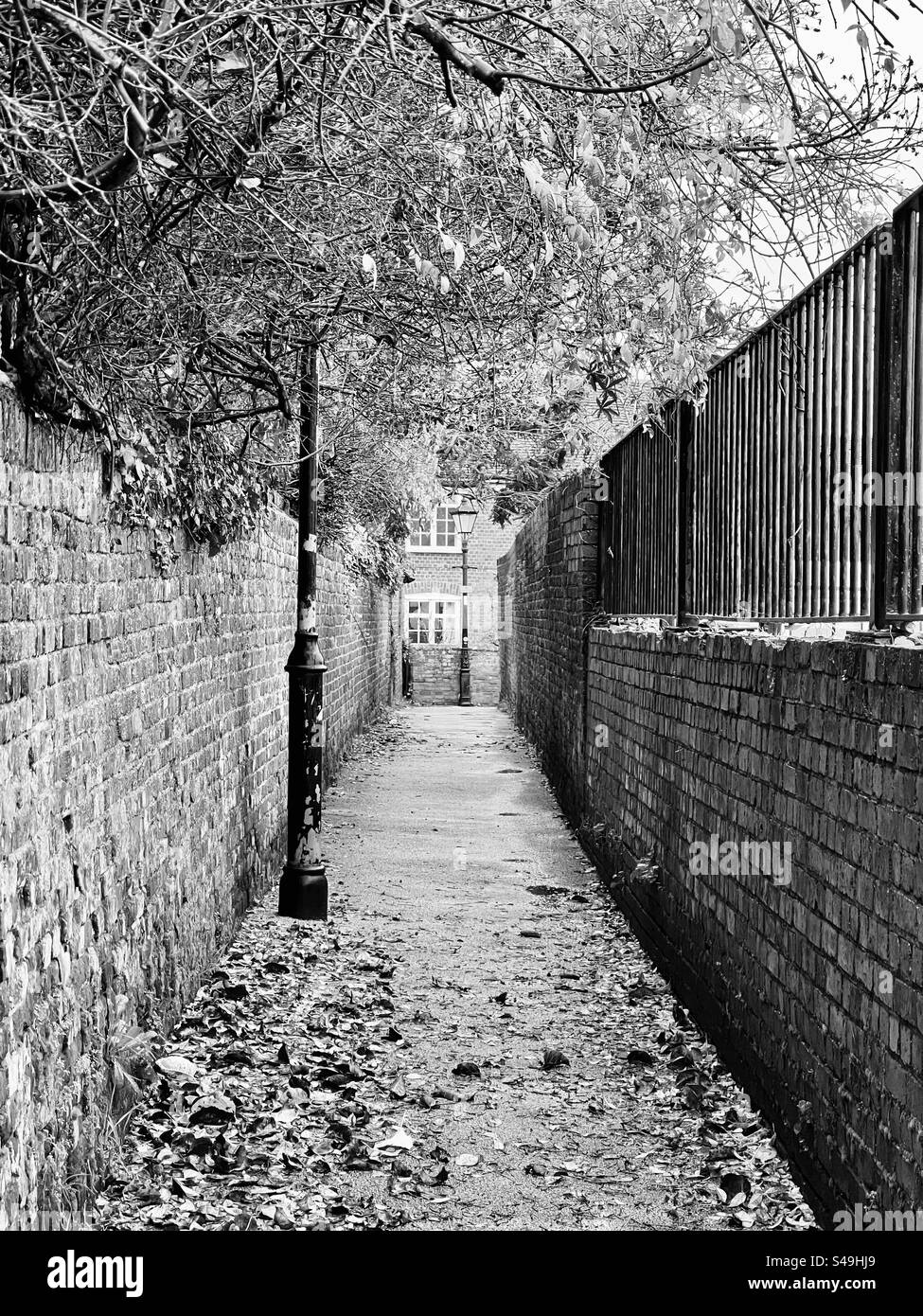 Footpath to Lower Quay, or Narnia! Fareham Stock Photo
