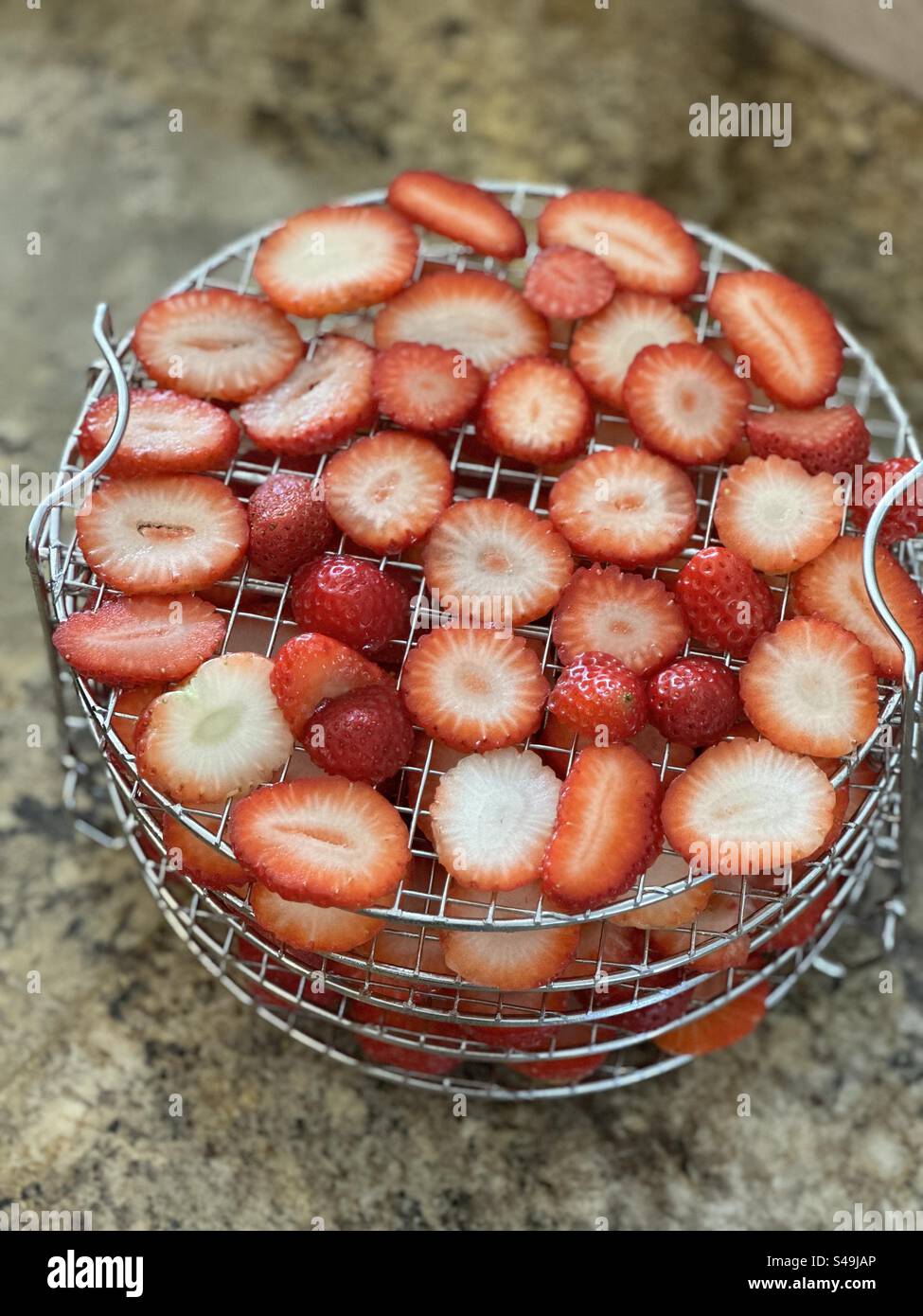 Top down view of fresh strawberries on dehydration racks - Smartphone Captured Stock Image
